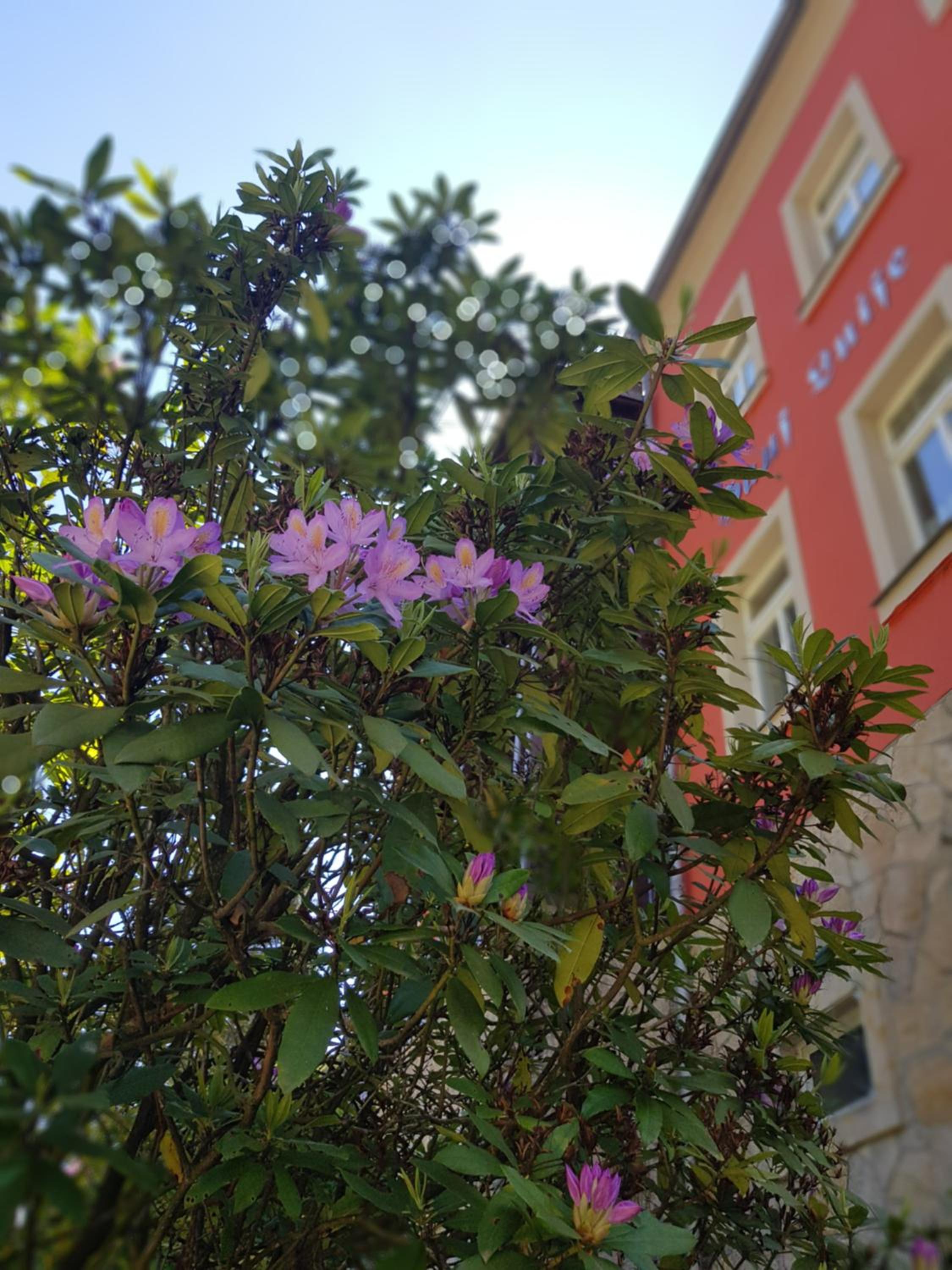 Photo 37