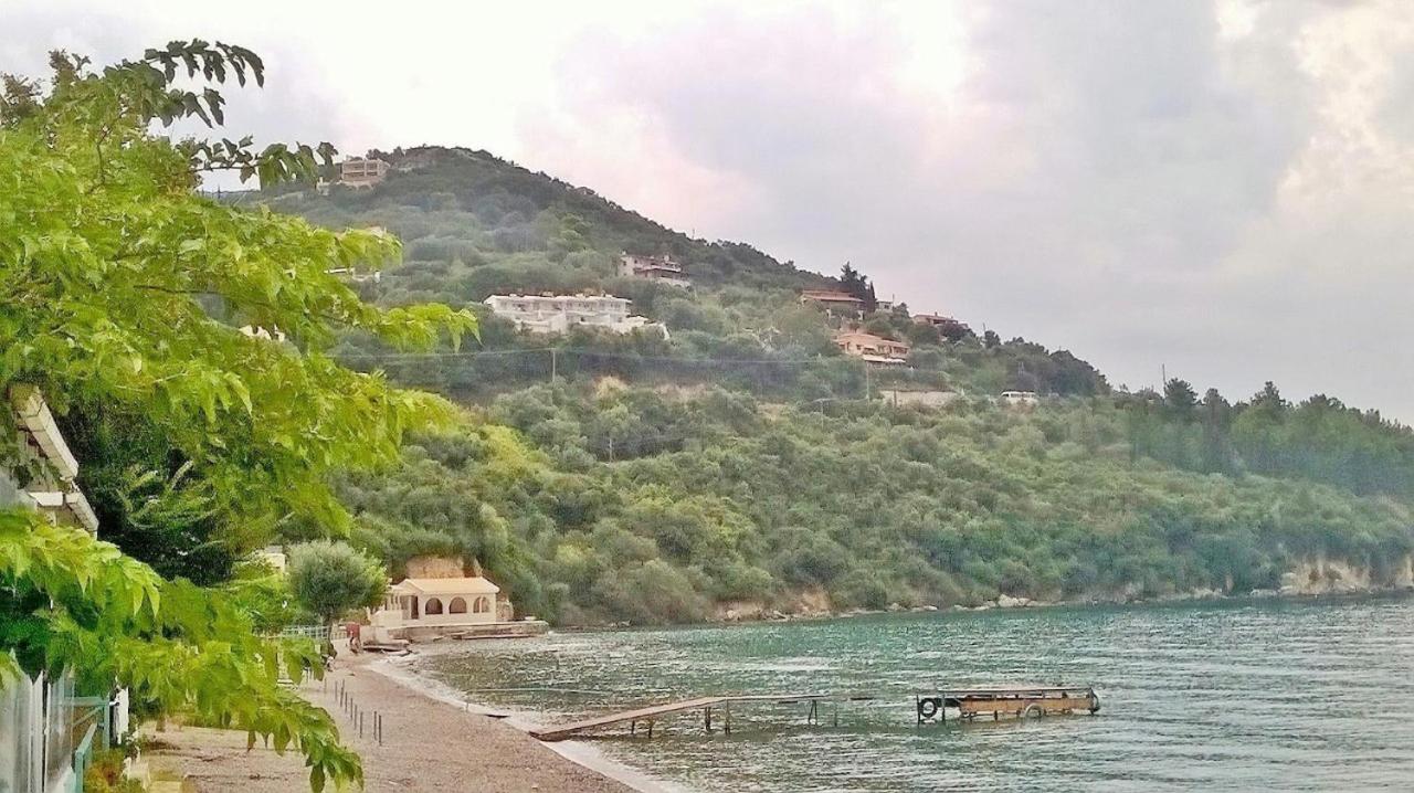 Sterna Studio