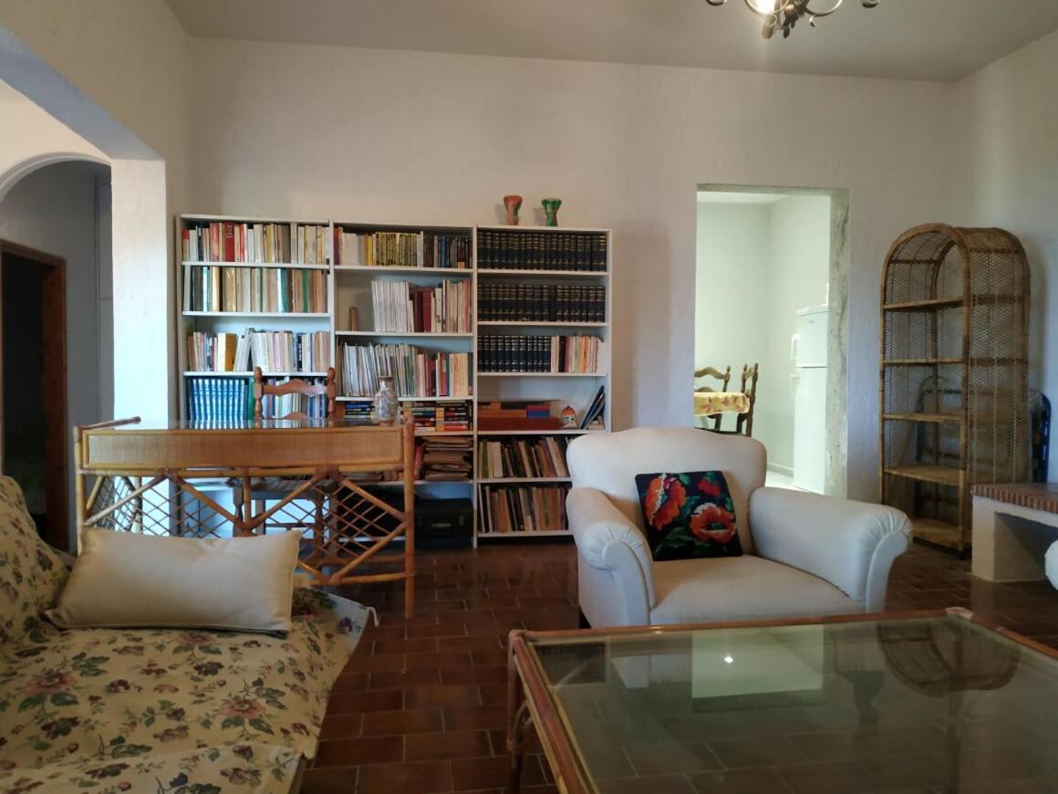 Sterna Studio