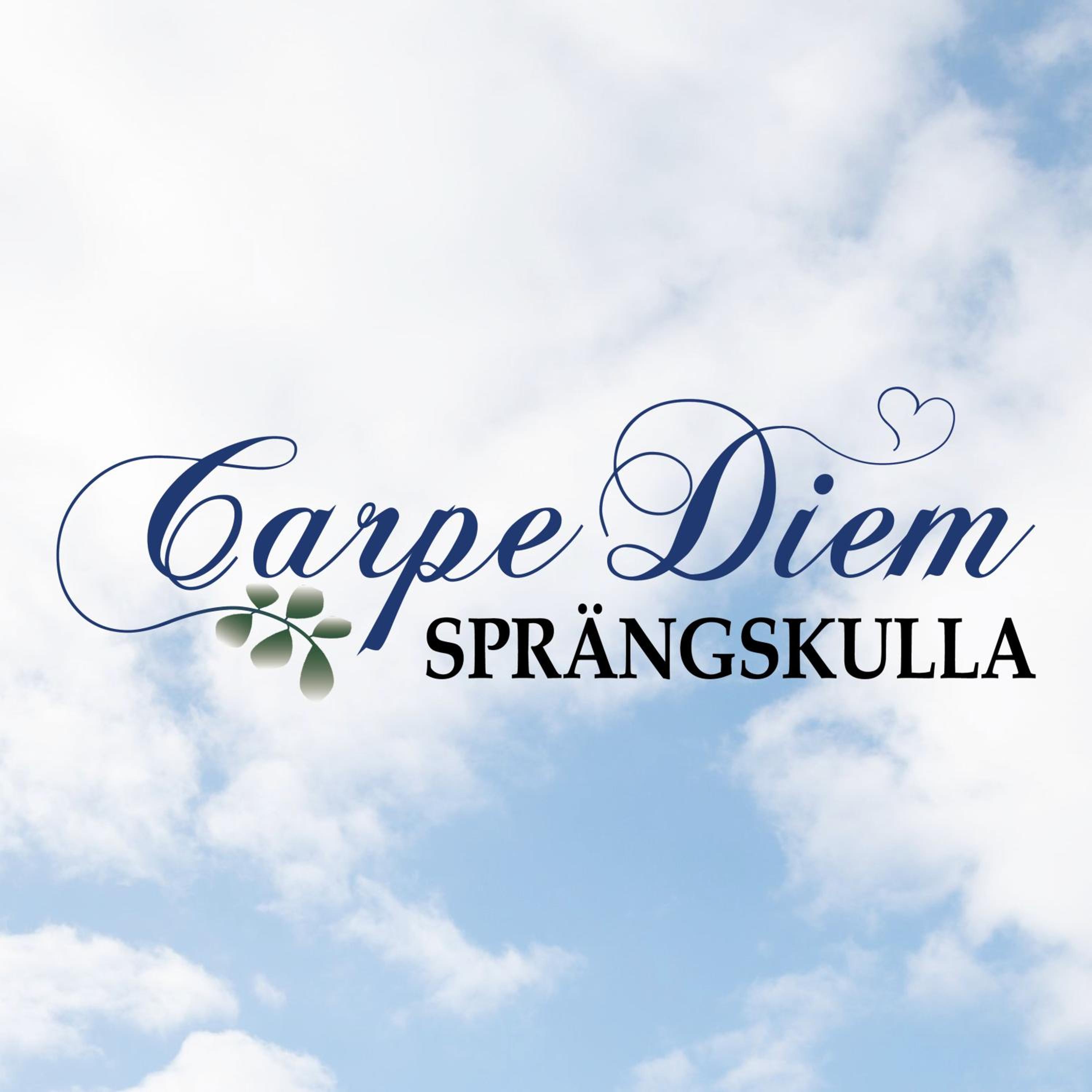 Carpe Diem Sprängskulla view 5