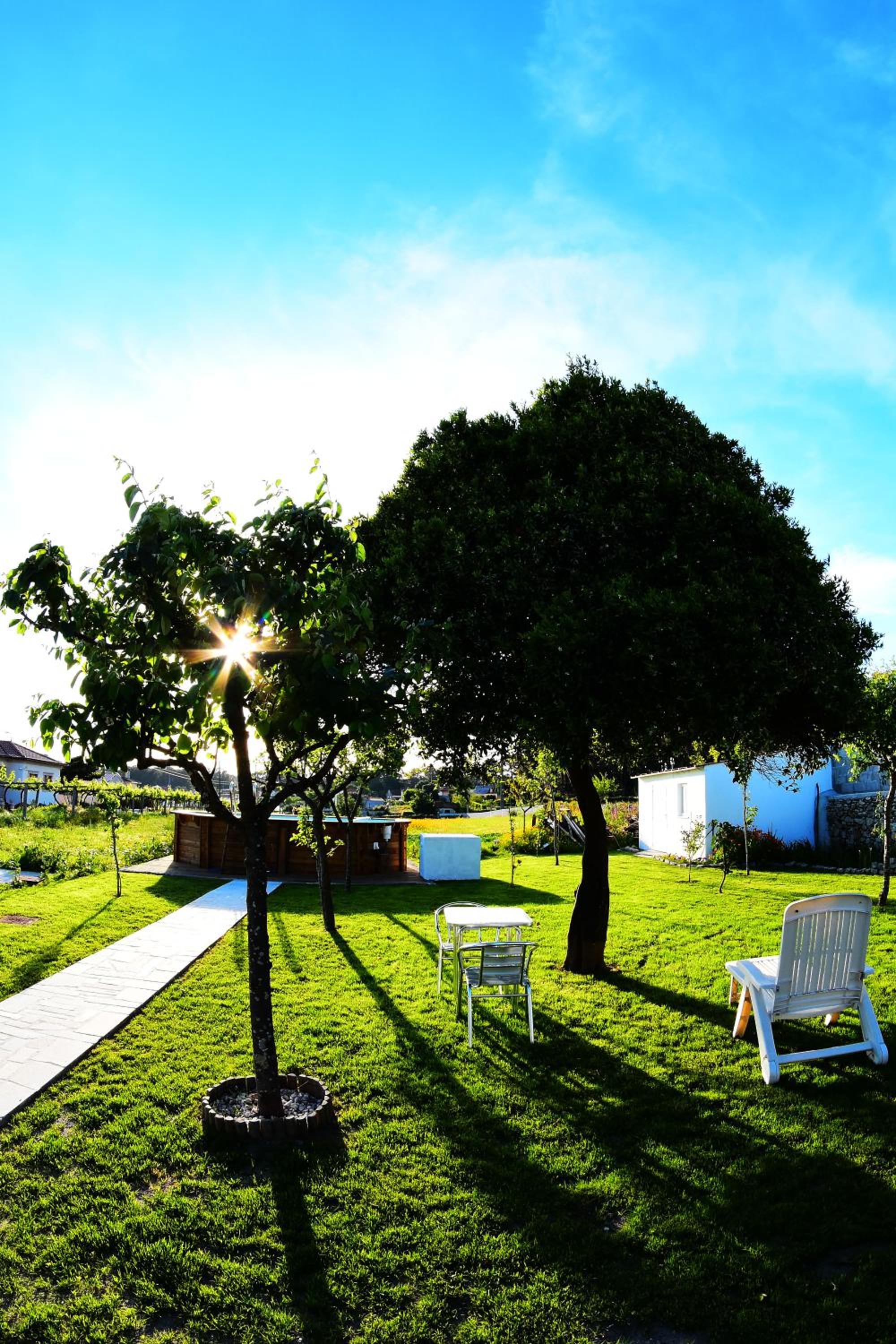 Quinta dos Avós view 4