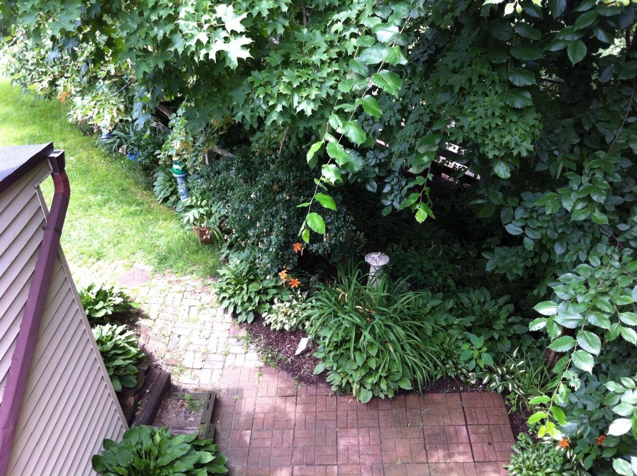 Photo 9