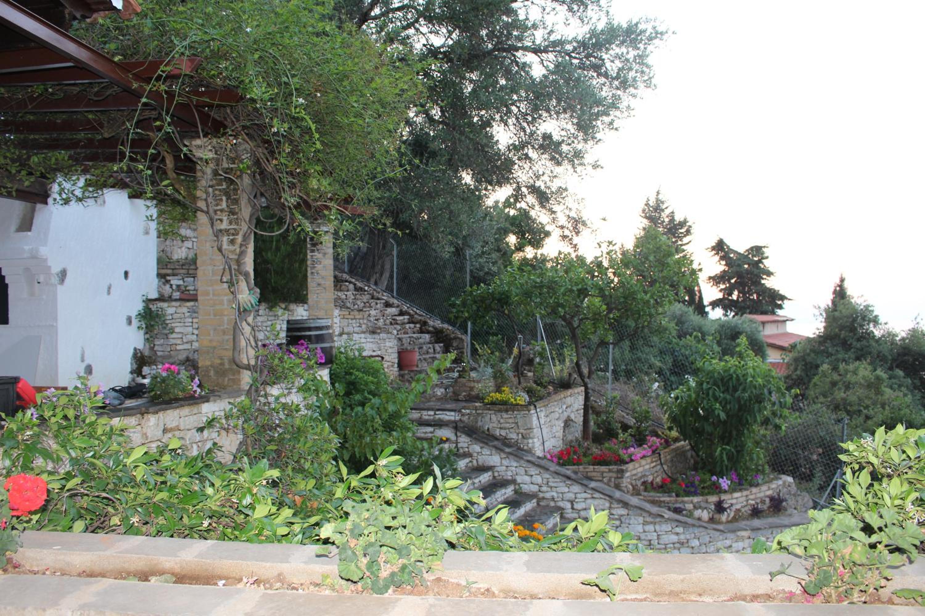 Sterna Studio