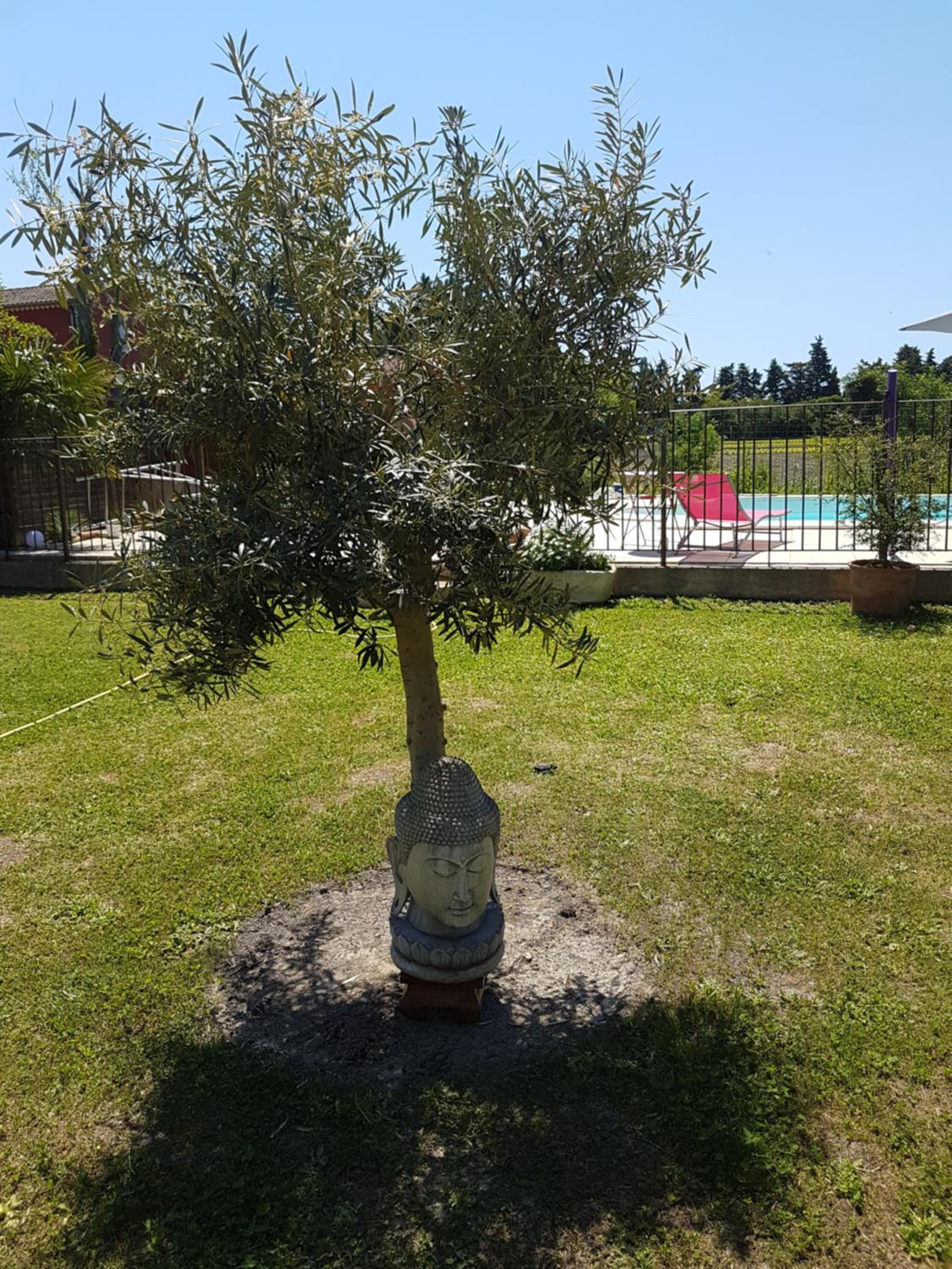 Photo 14