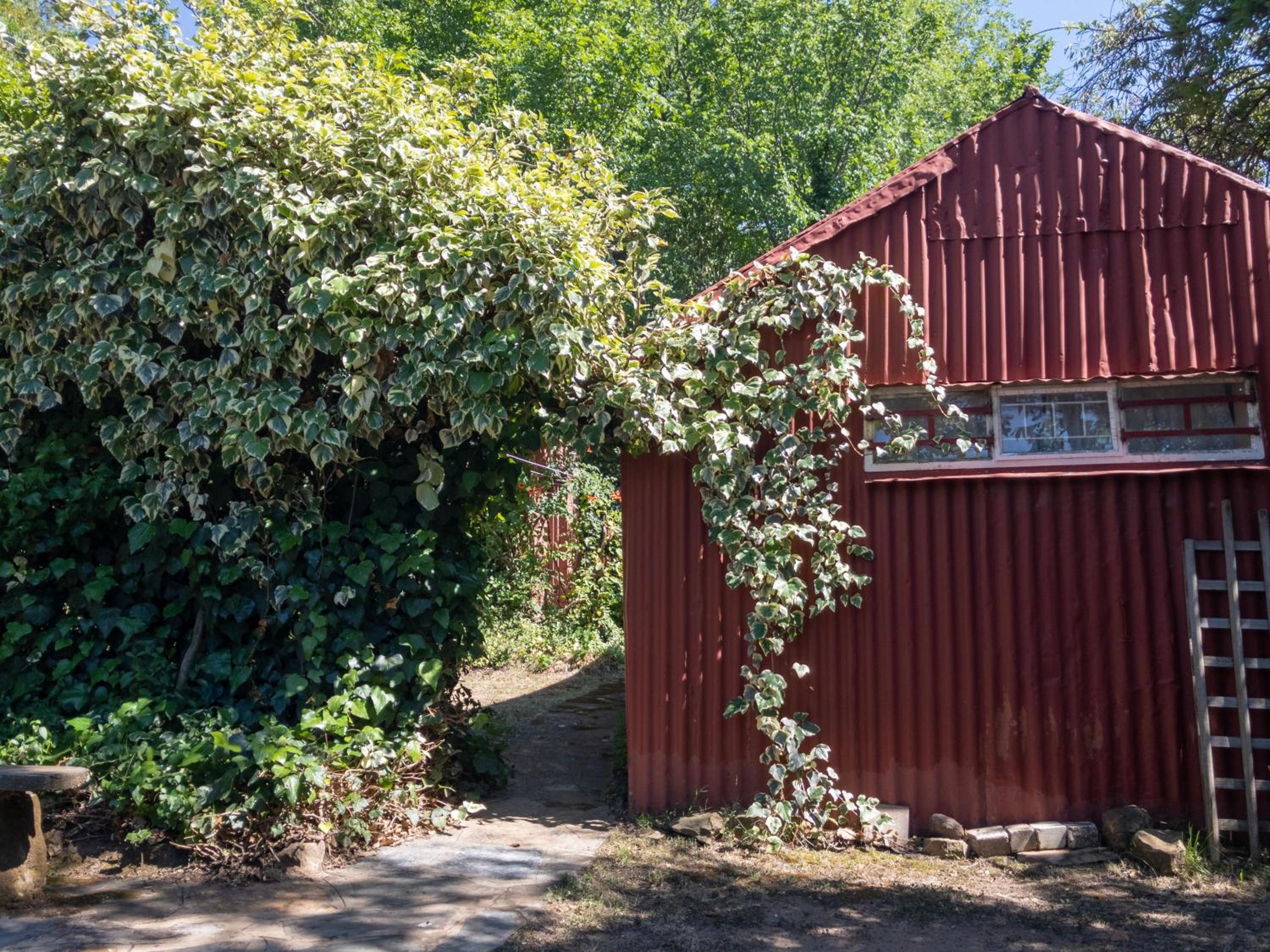 Photo 6