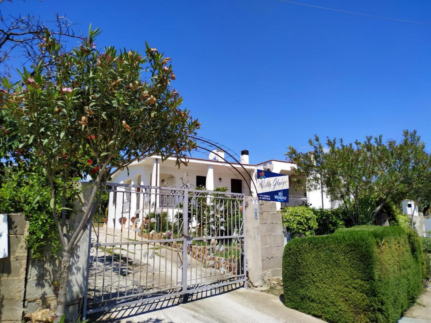 Photo 43