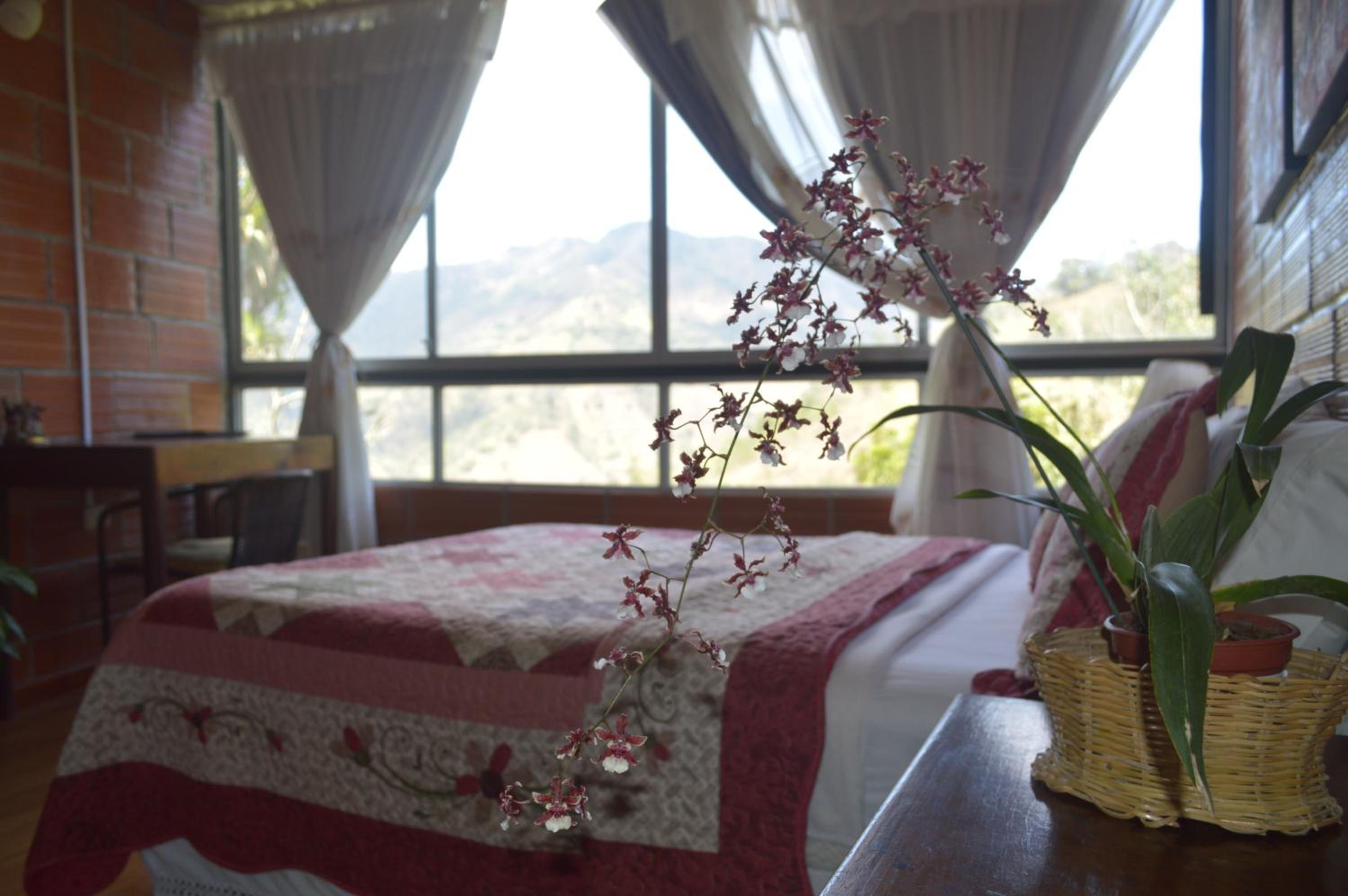 Hosteria Florecer, photo 48