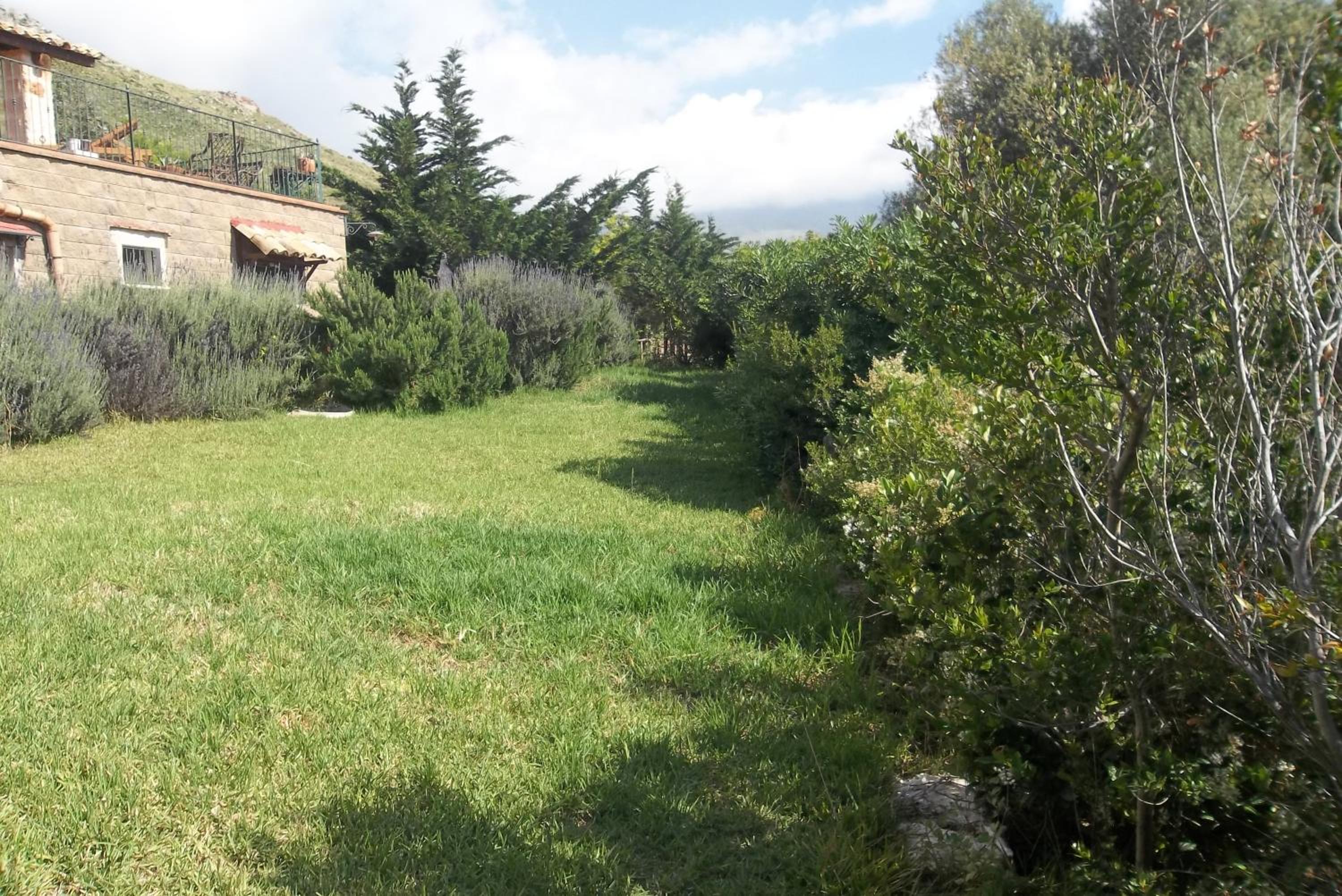 il corbezzolo photo 3