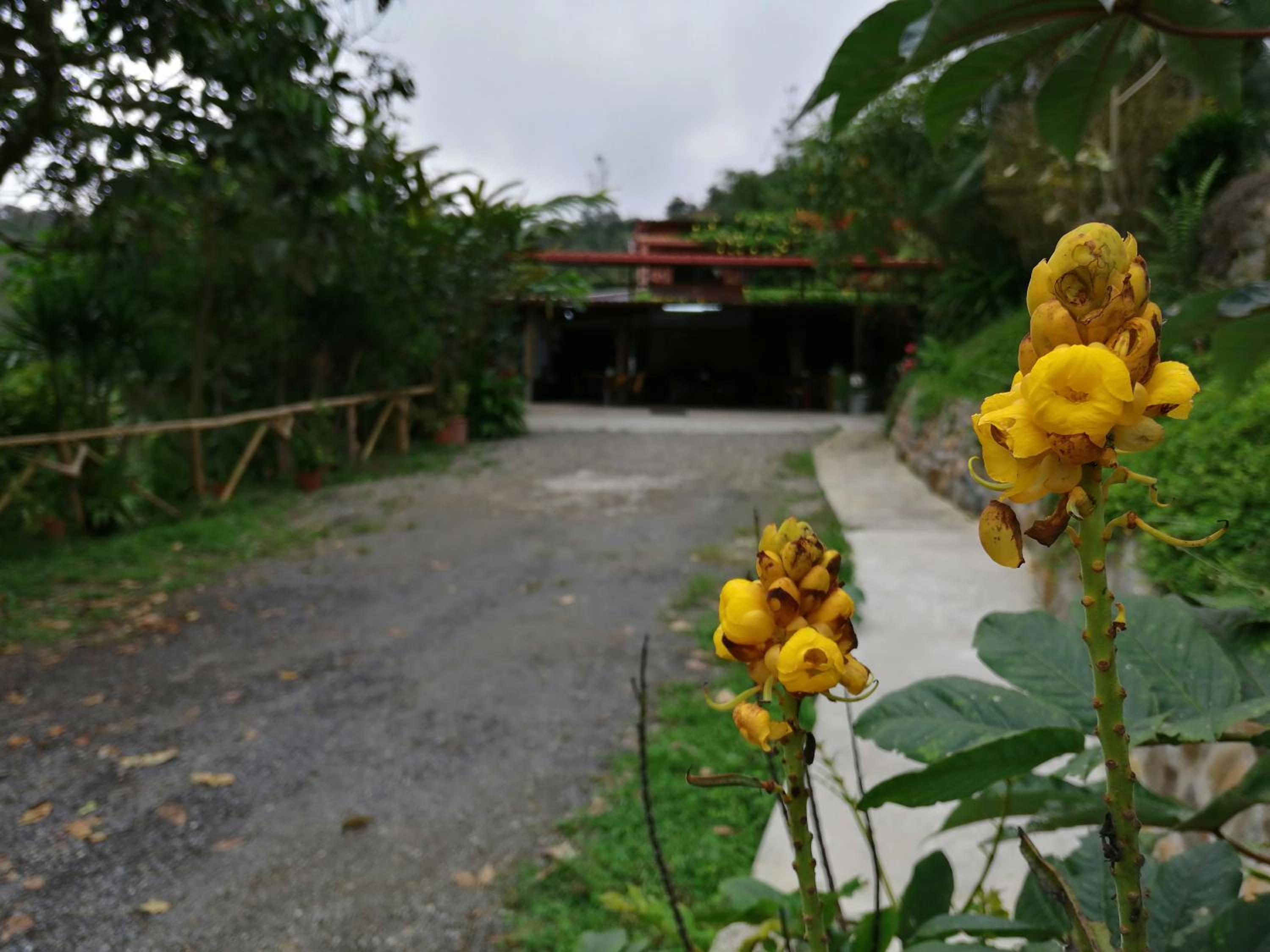 Hosteria Florecer, photo 91