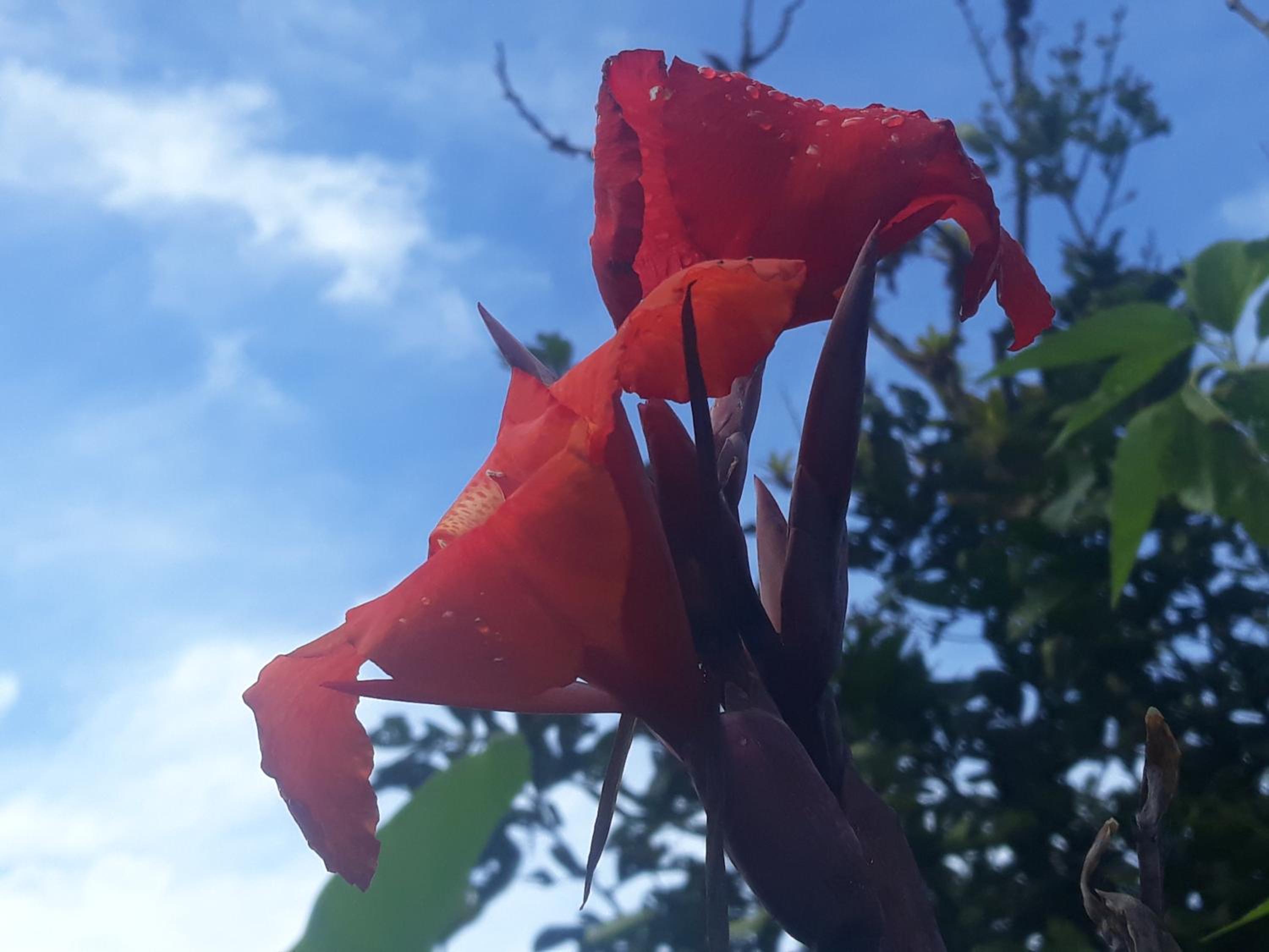 Hosteria Florecer, photo 77
