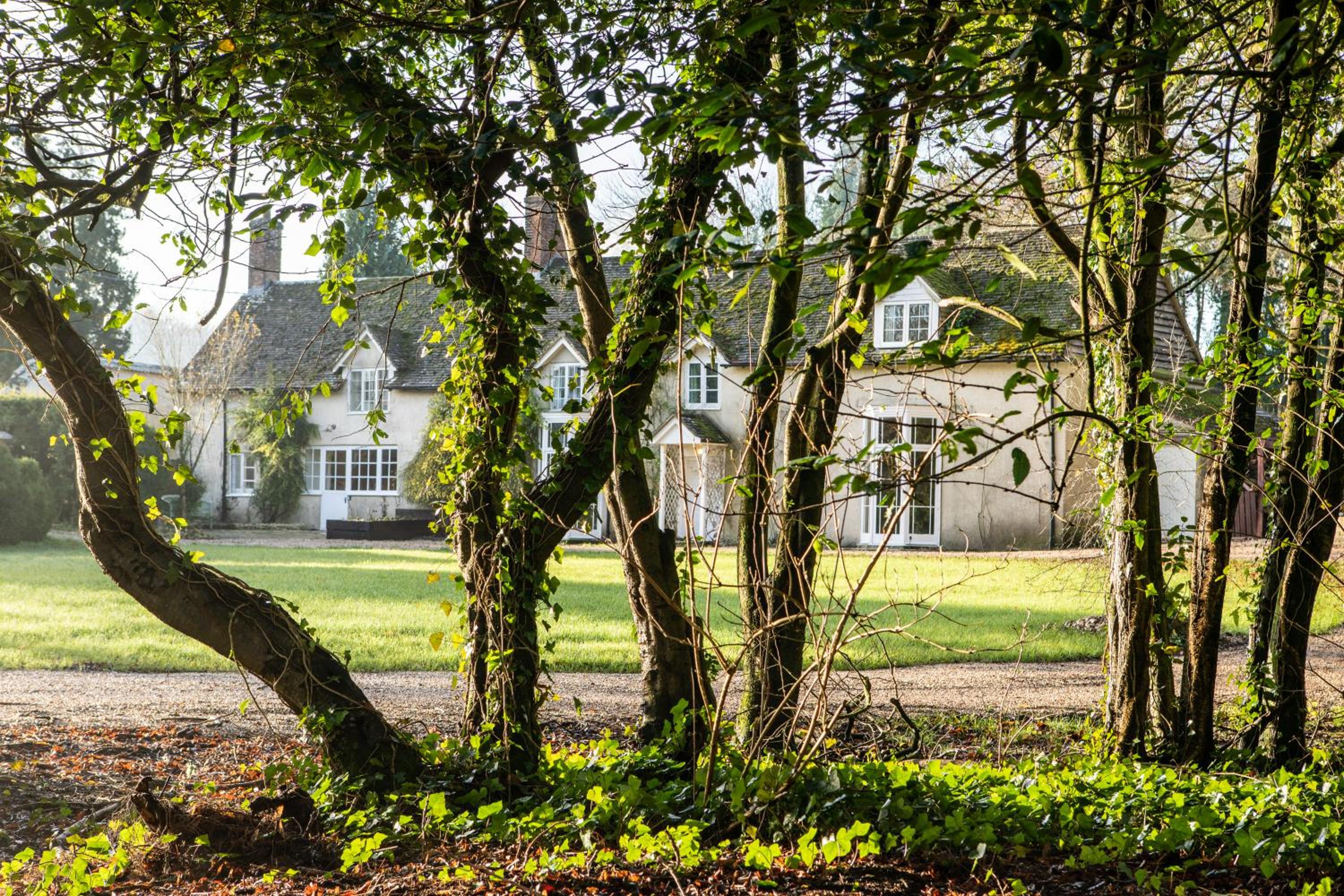 West Cottage, Cerne Abbas Lane view 3