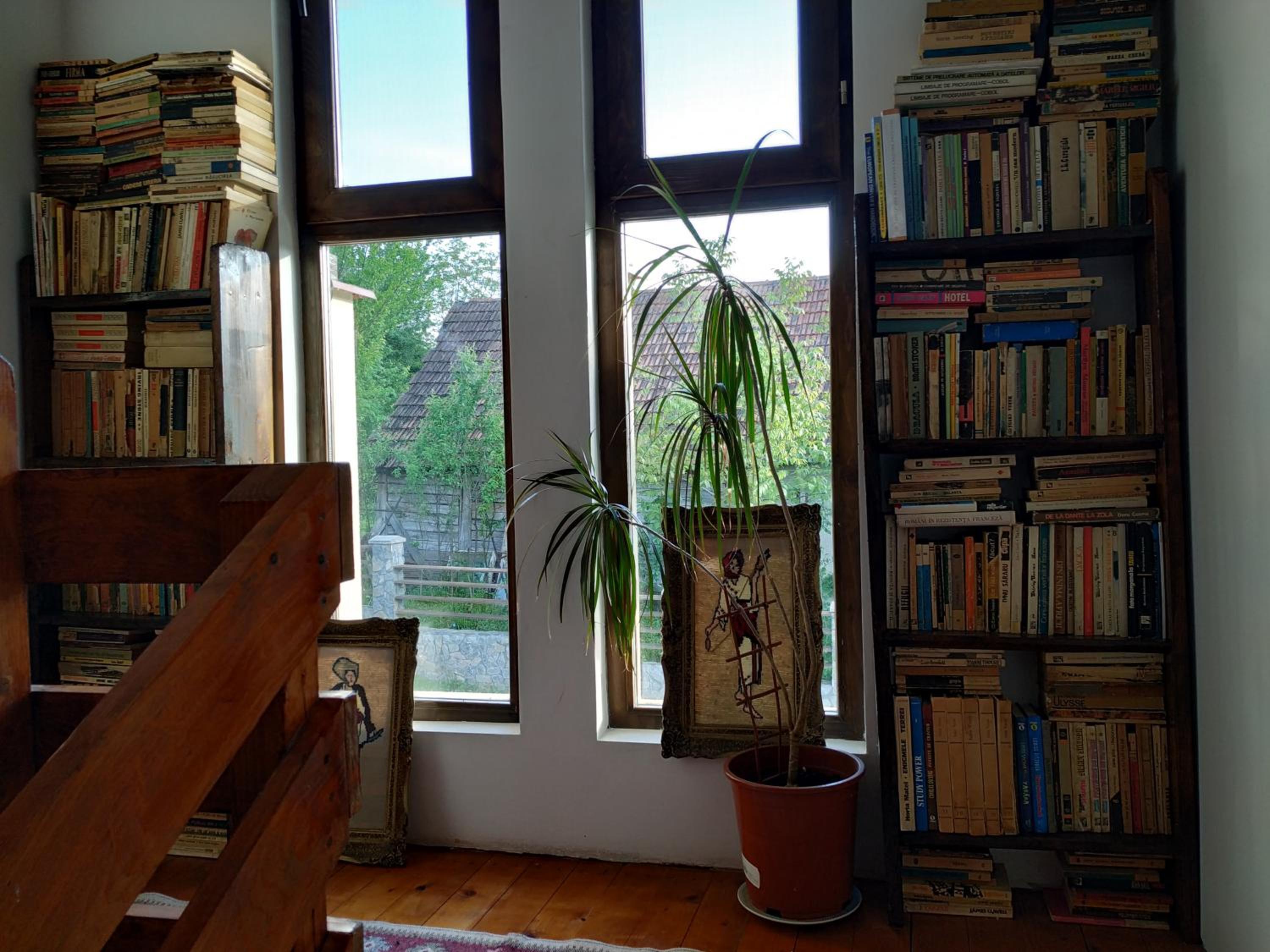 Photo 8