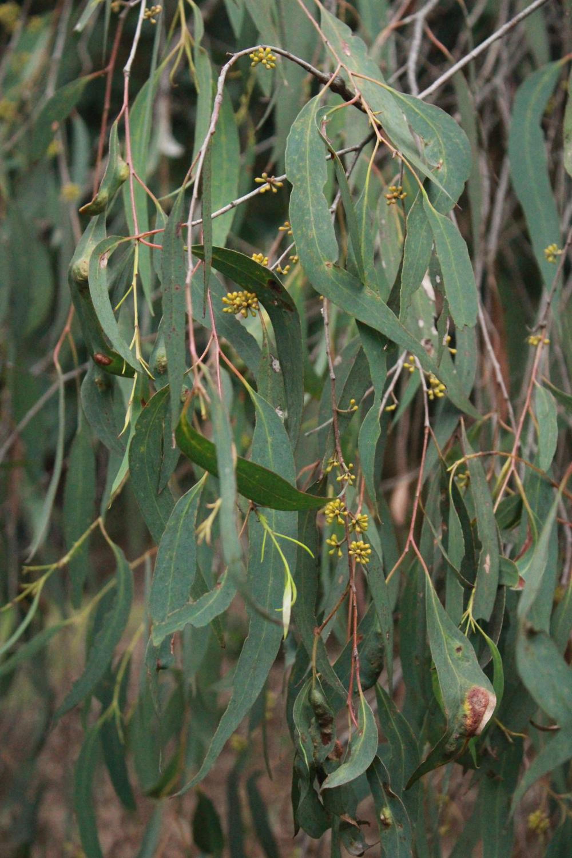 Photo 47