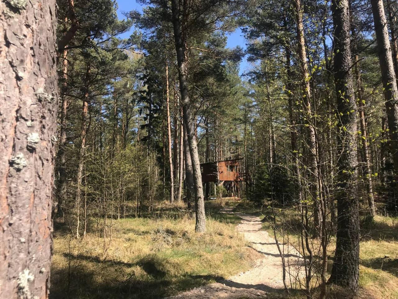 Tahkuna tree-house view 4