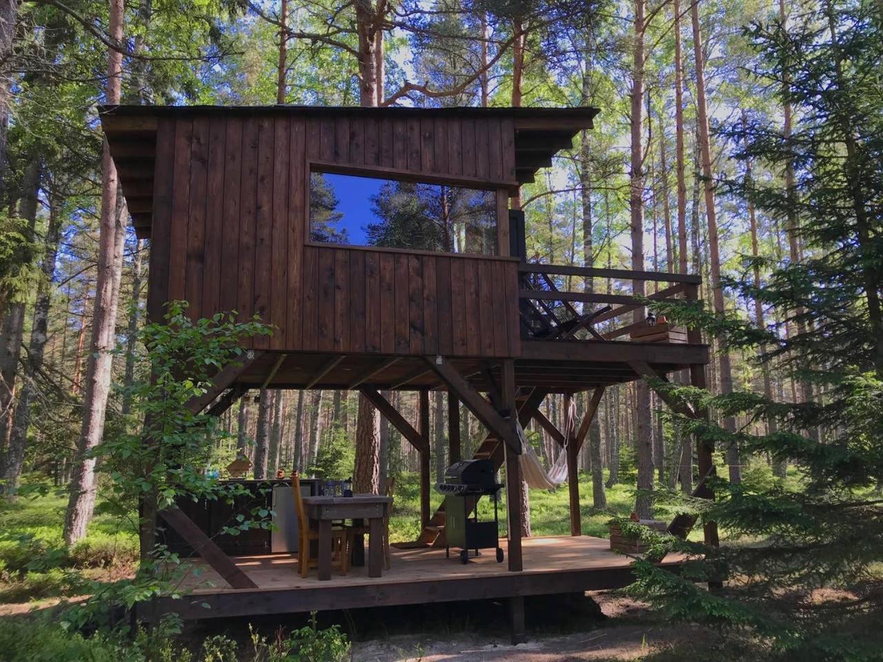 Tahkuna tree-house view 2
