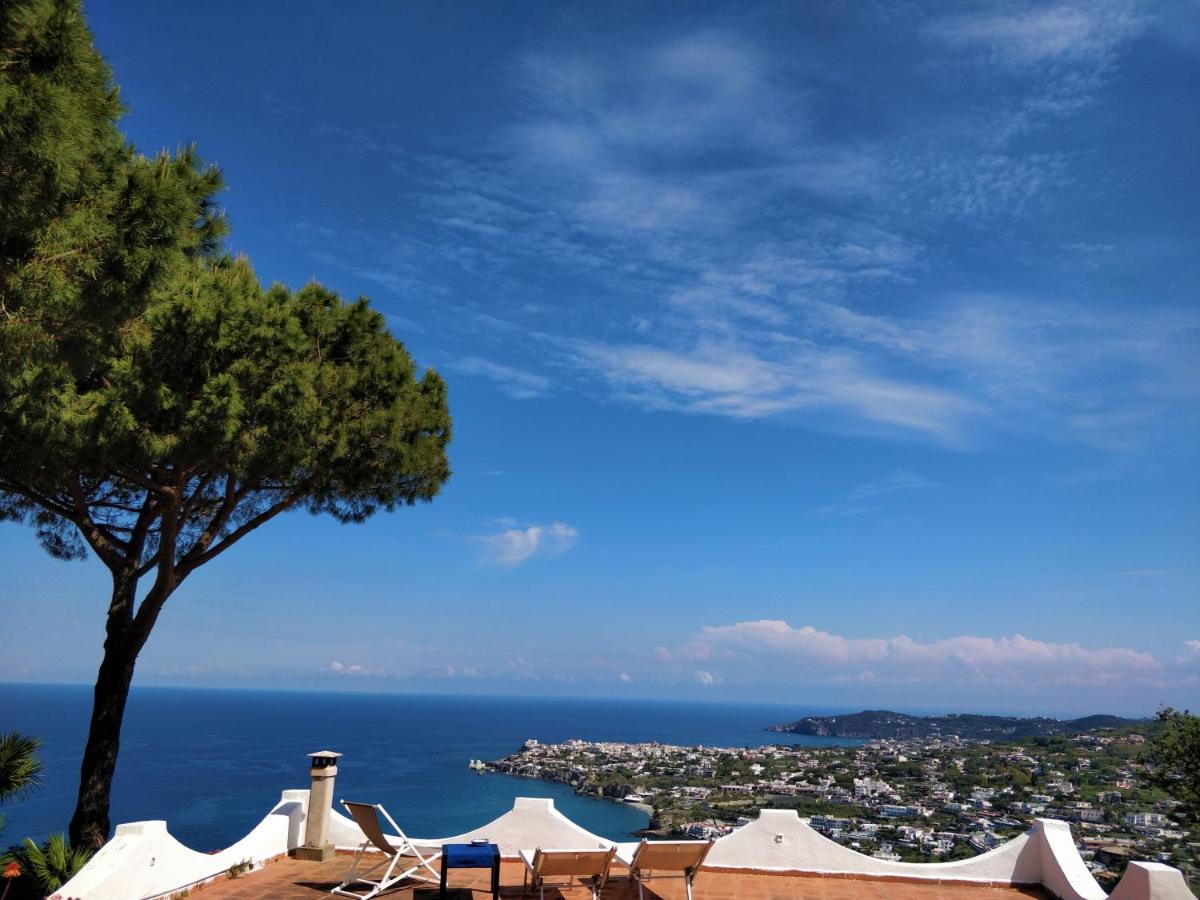 Villa Andrea