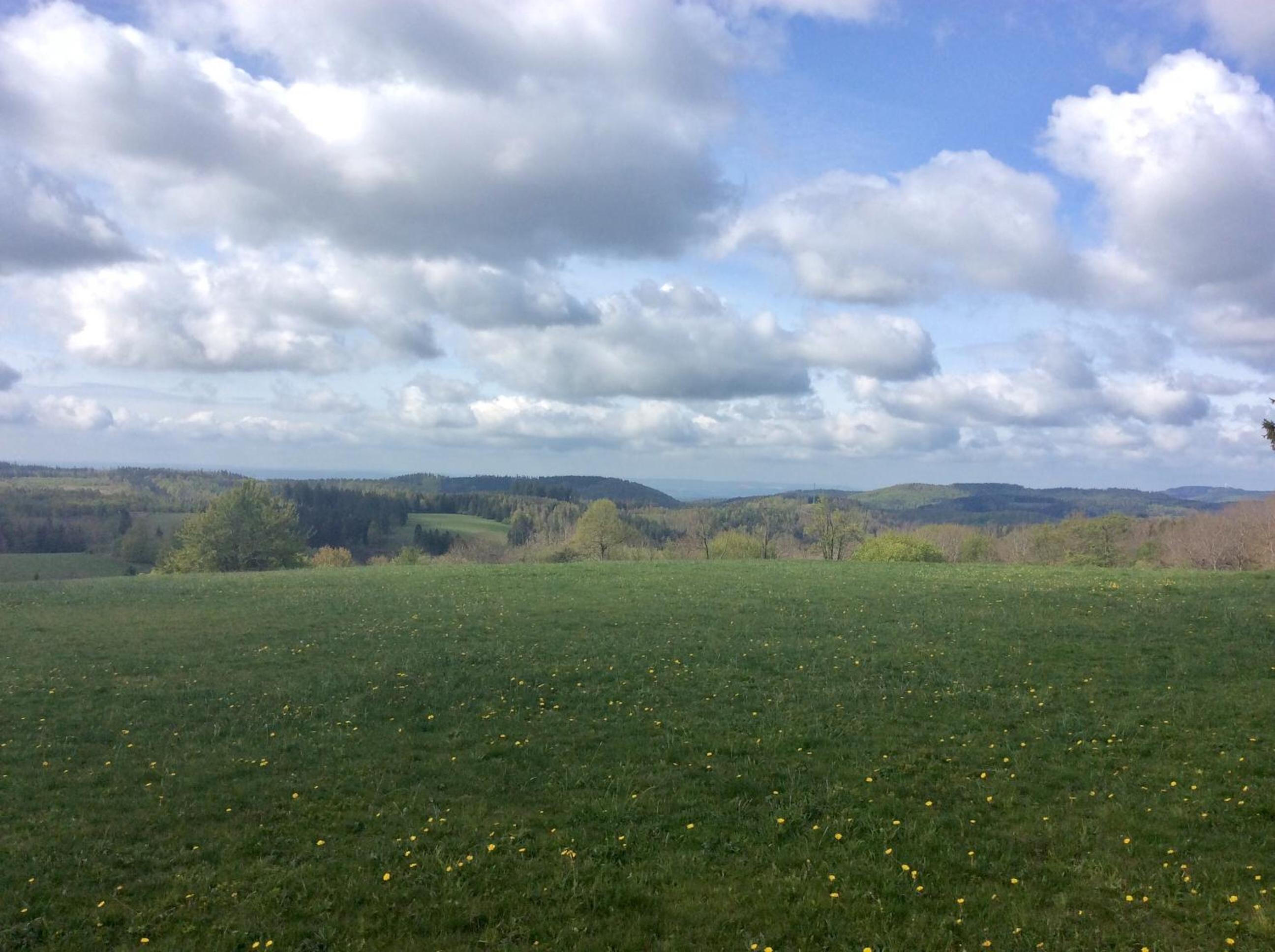 Blockhäuser Harzblick