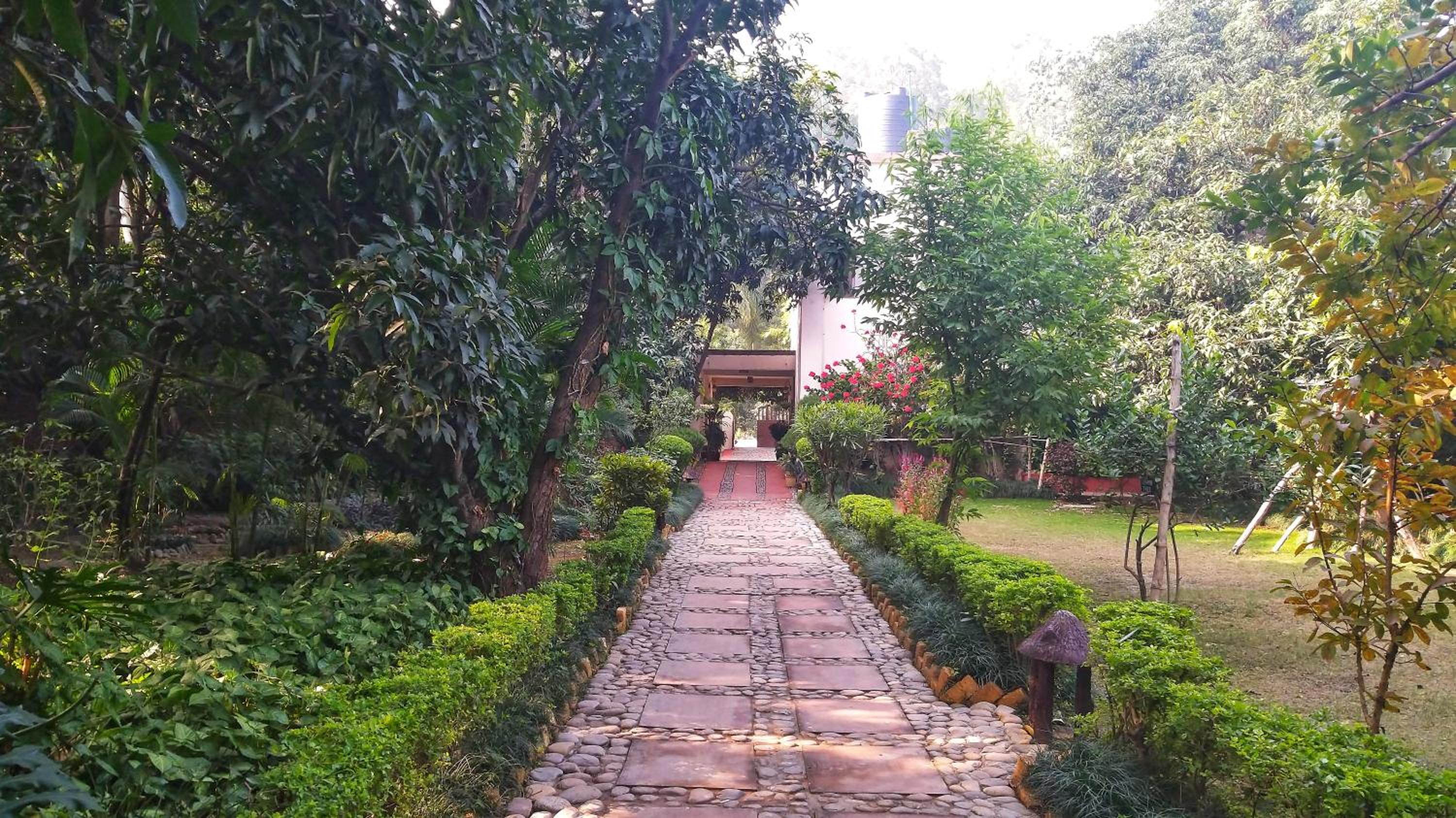 Exterior
