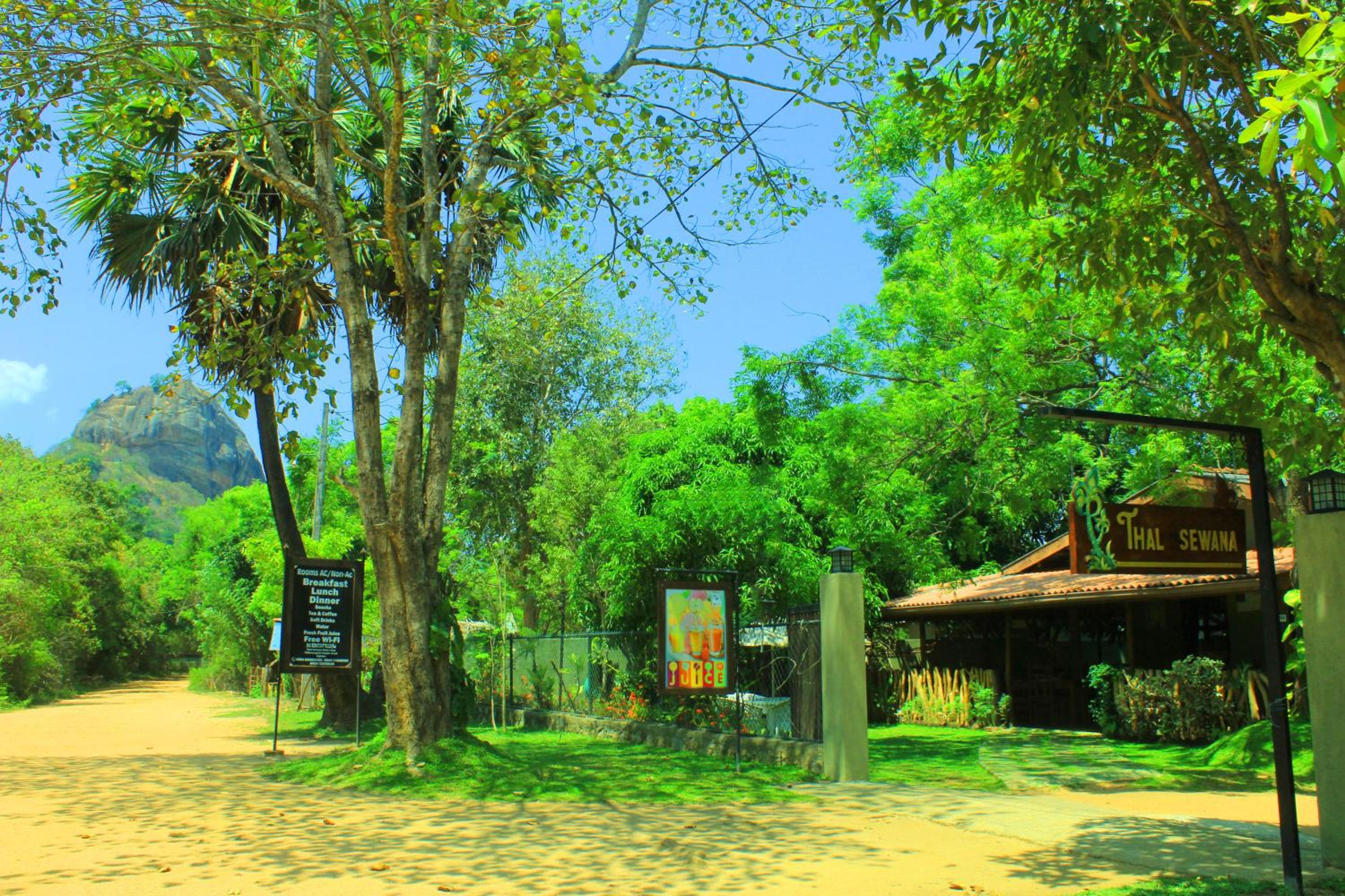 Photo 100