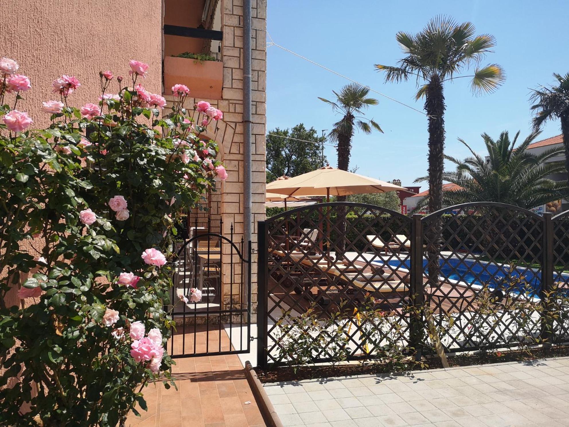 Anita apartment