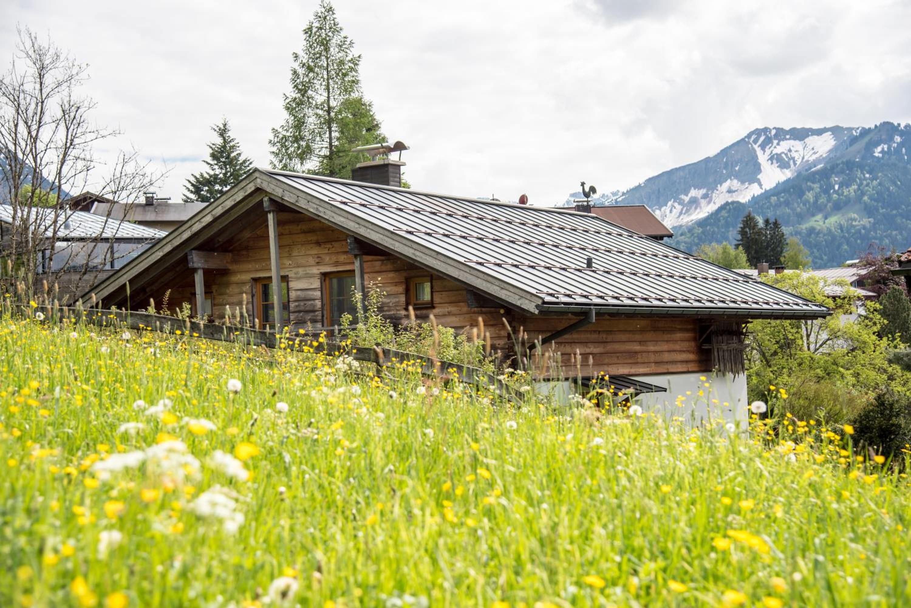 Alpenhaus Oberstdorf - Bergbahn unlimited im Sommer inklusive