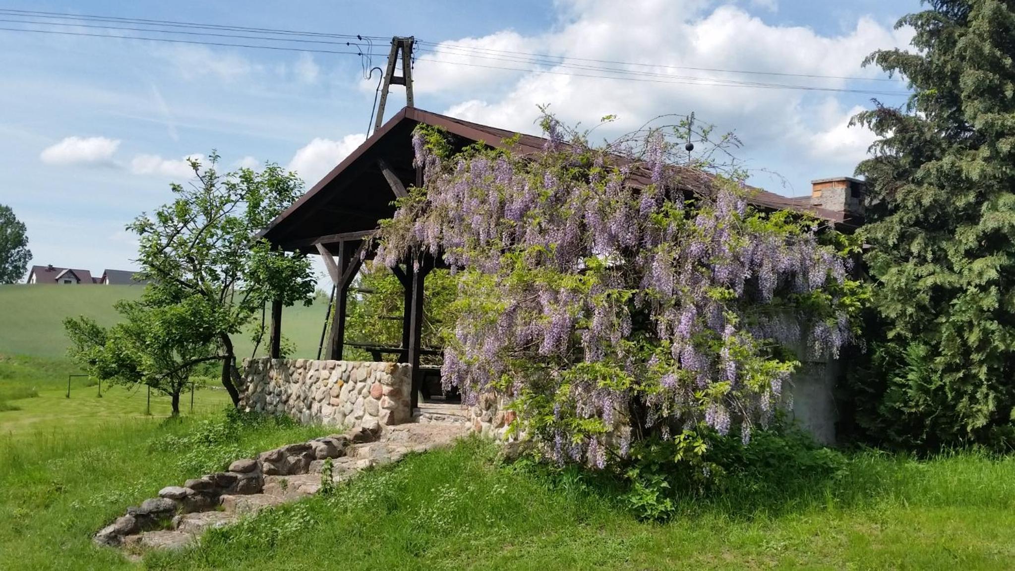Agroturystyka Szafarnia 19 view 2