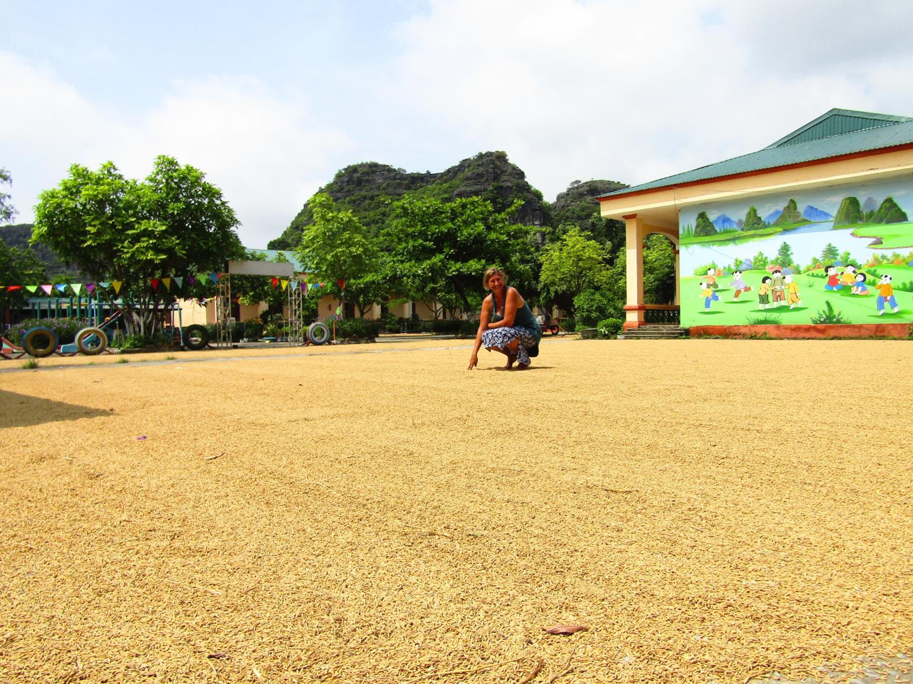 Ninh Binh Mountain Side Homestay & Cafe