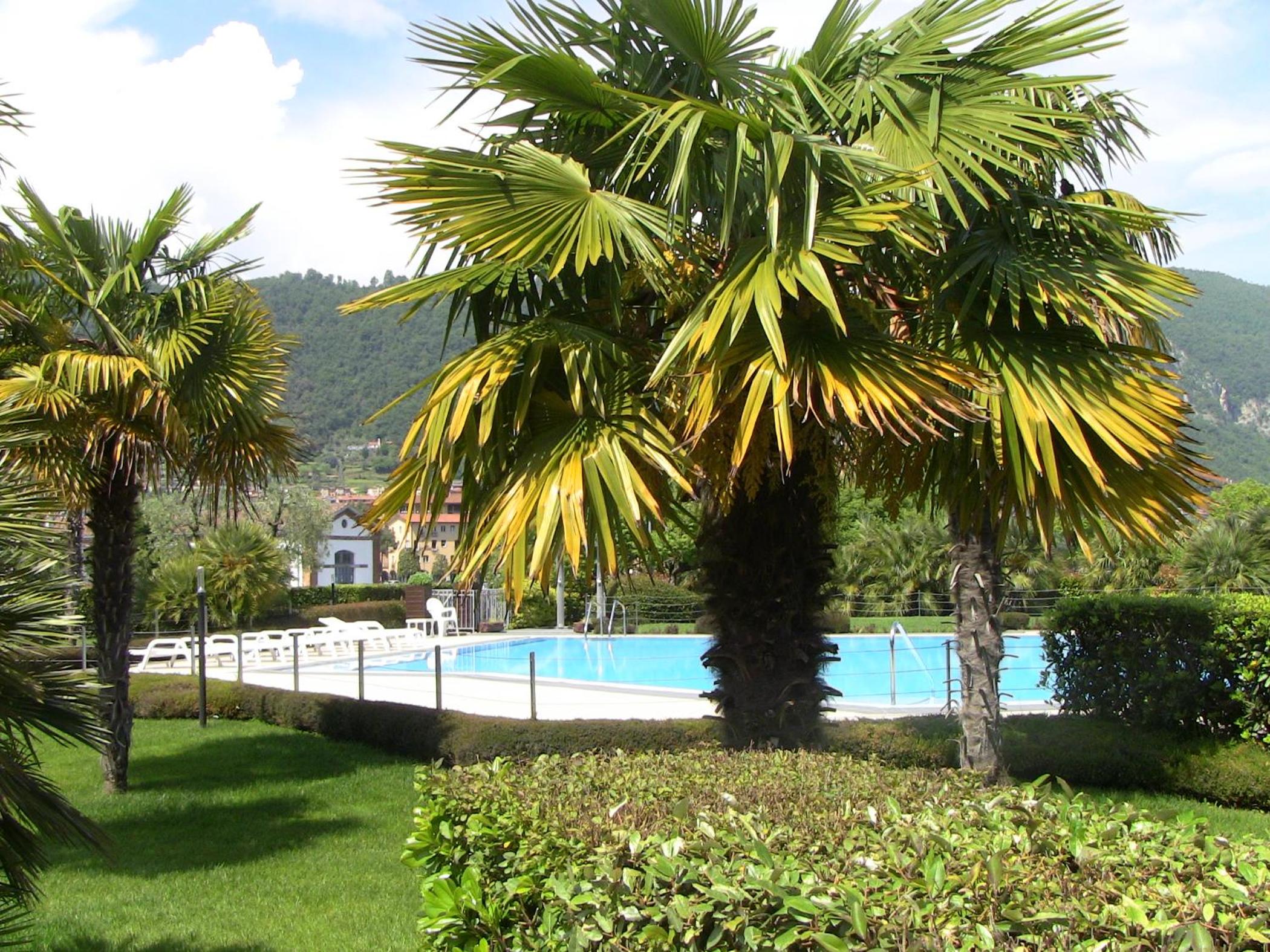 appartamento Luisa al lago d'Iseo view 5
