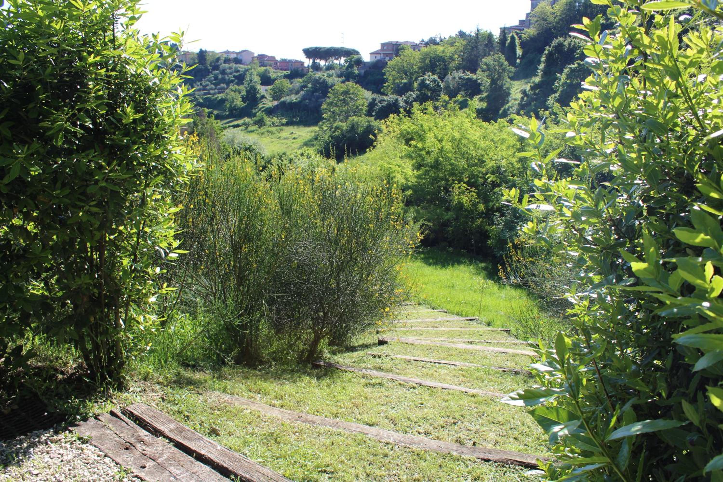 Photo 31