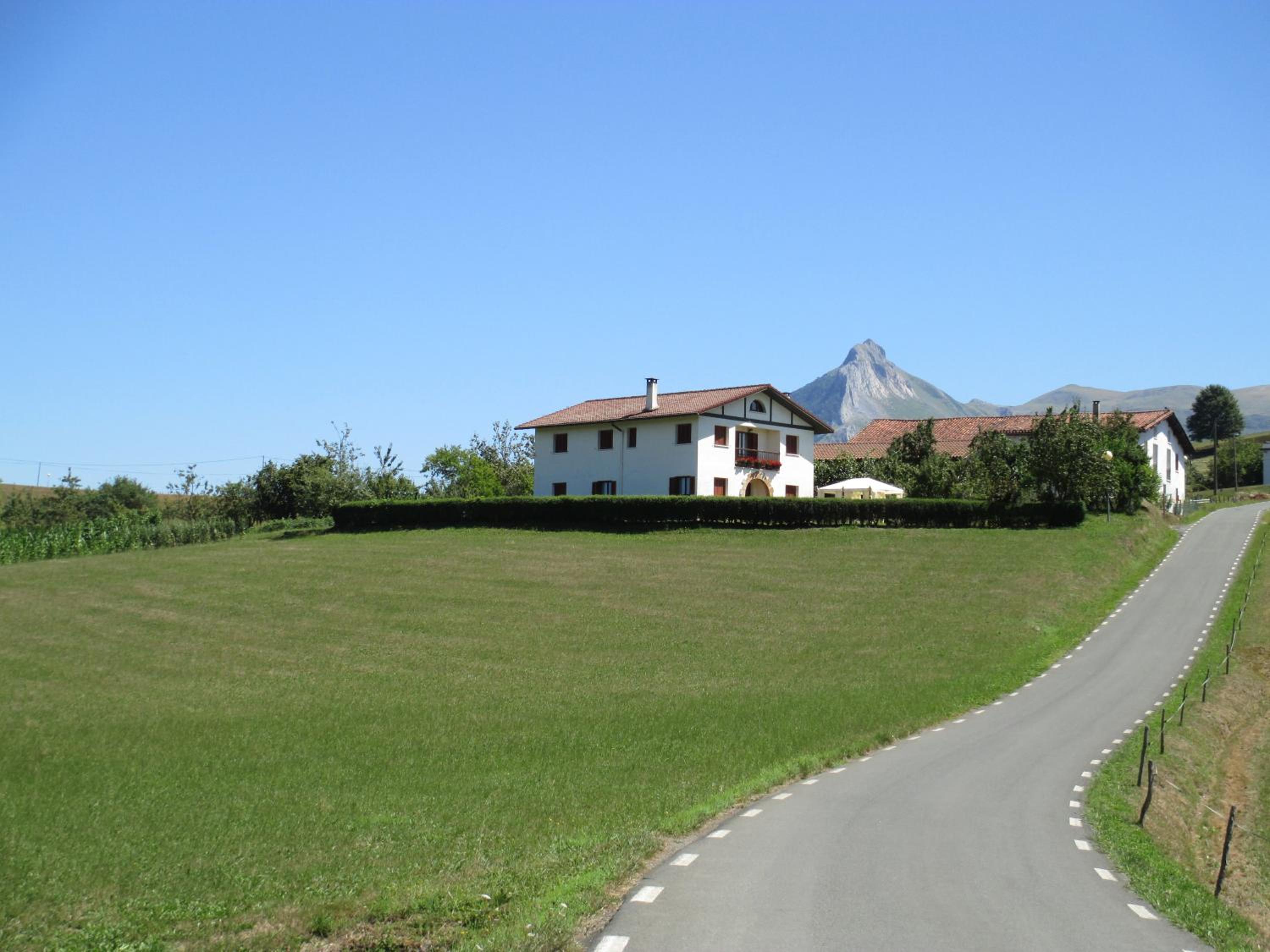 Photo 29