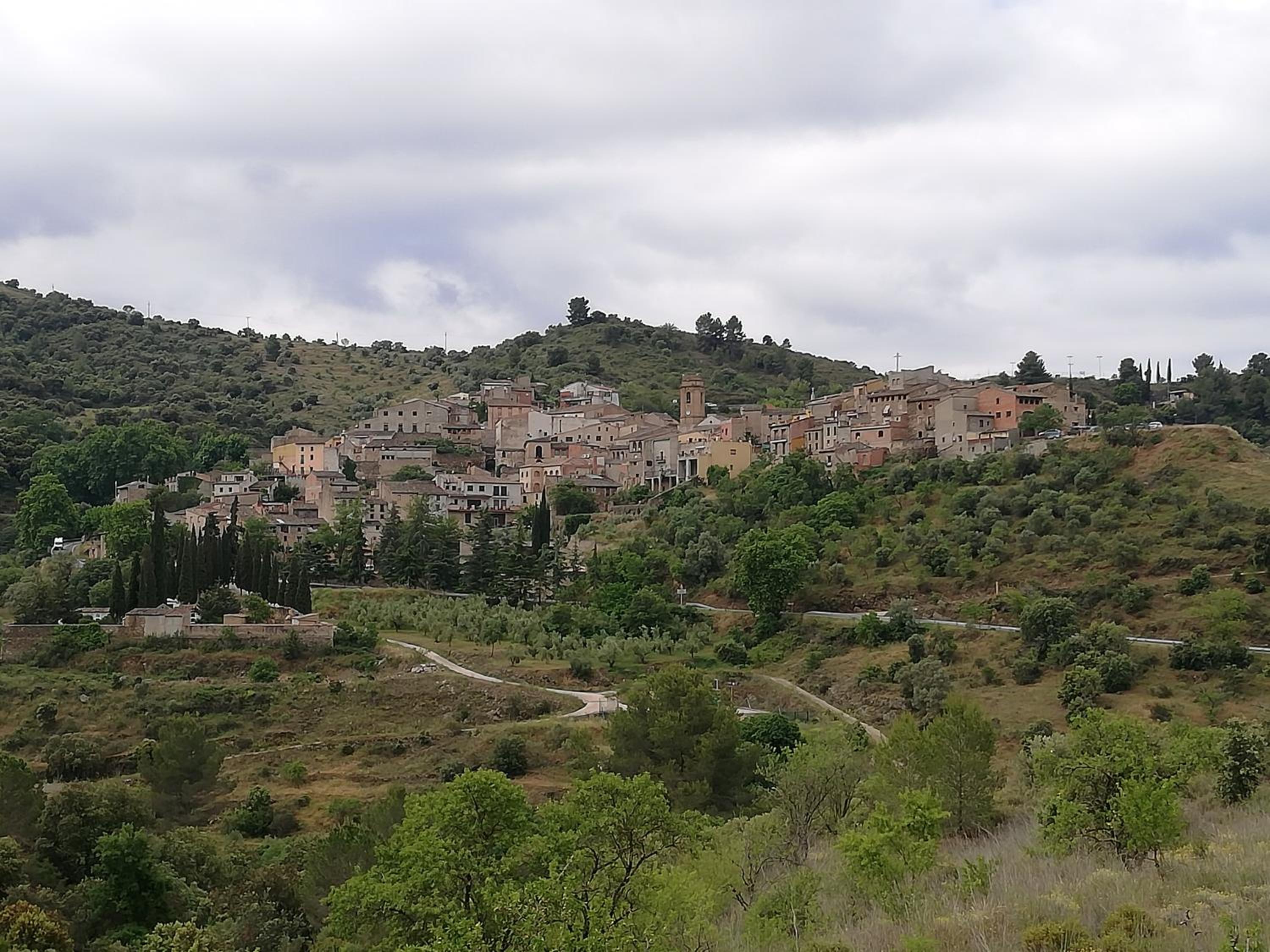 Photo 20