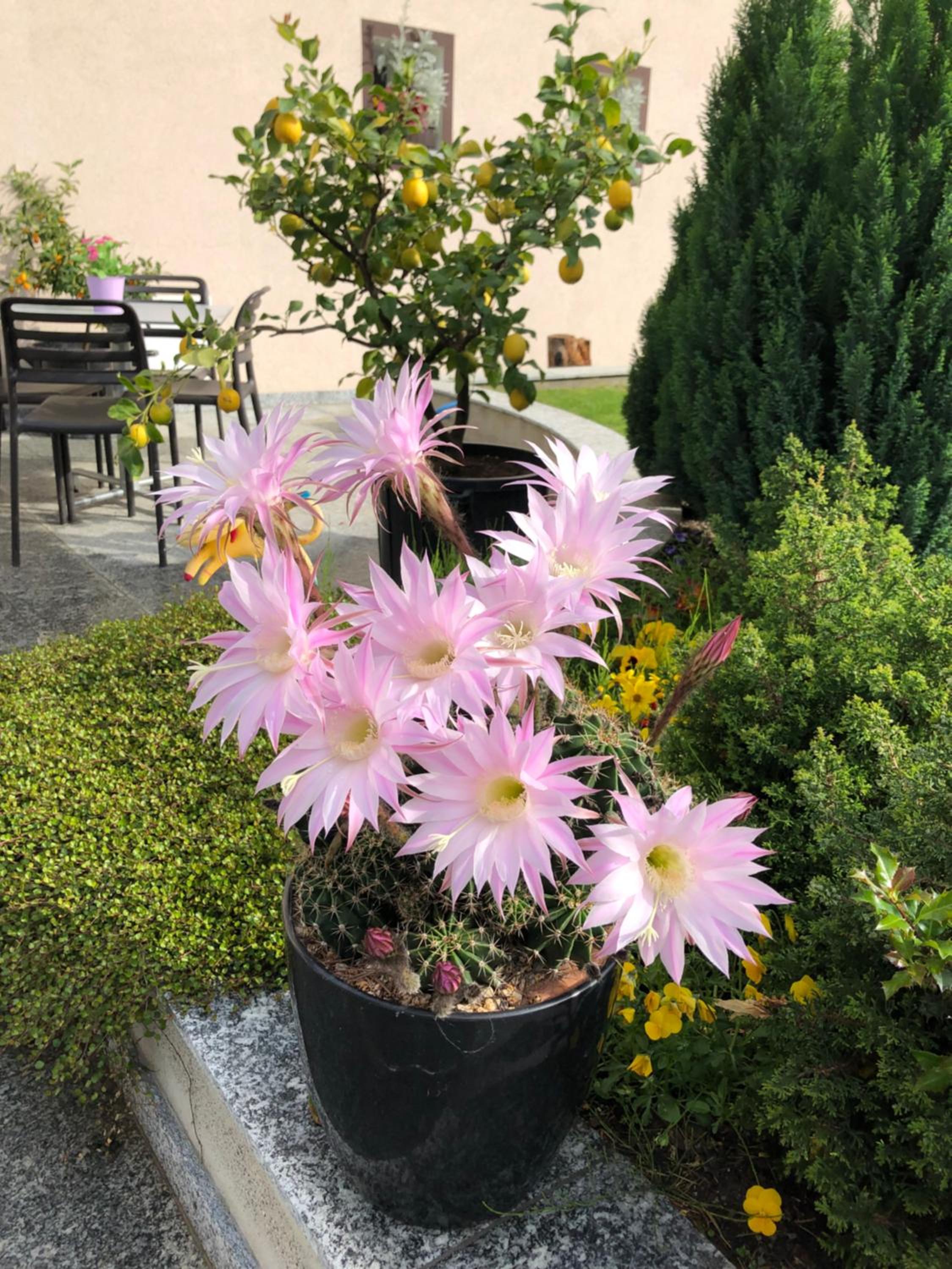 Agriturismo Regusci