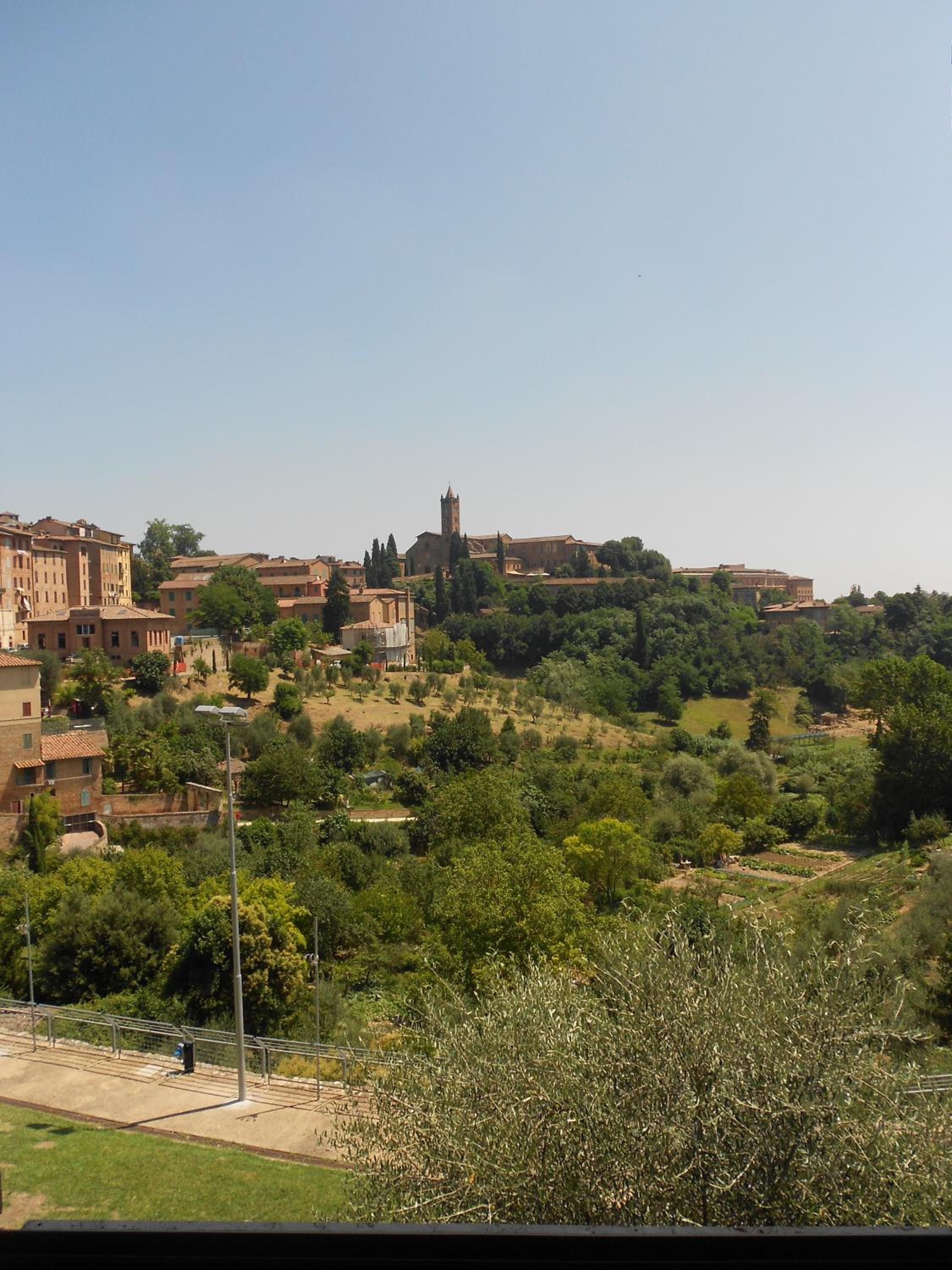 Soggiorno La Primula