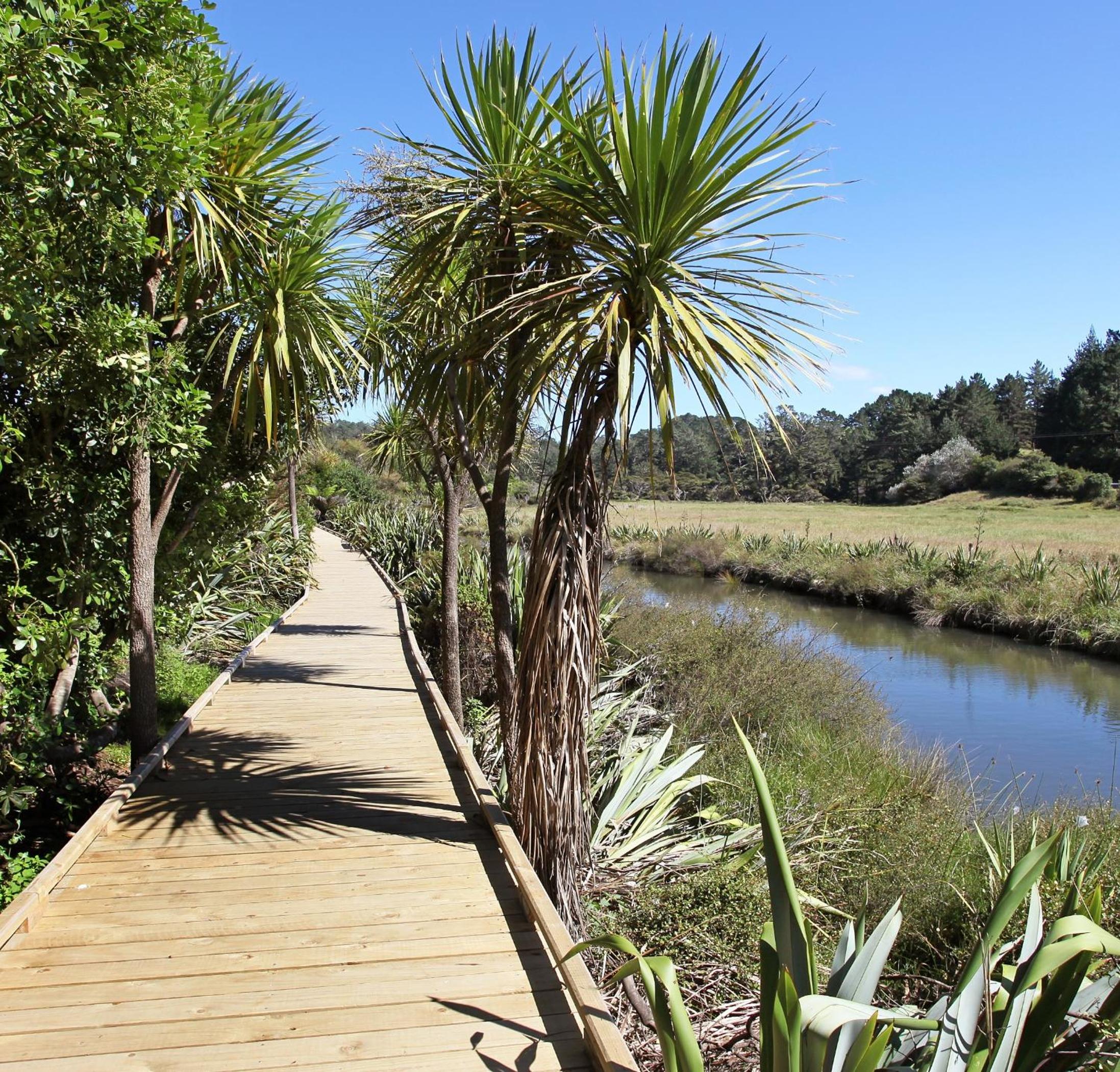 Hot Water Beach TOP 10 Holiday Park