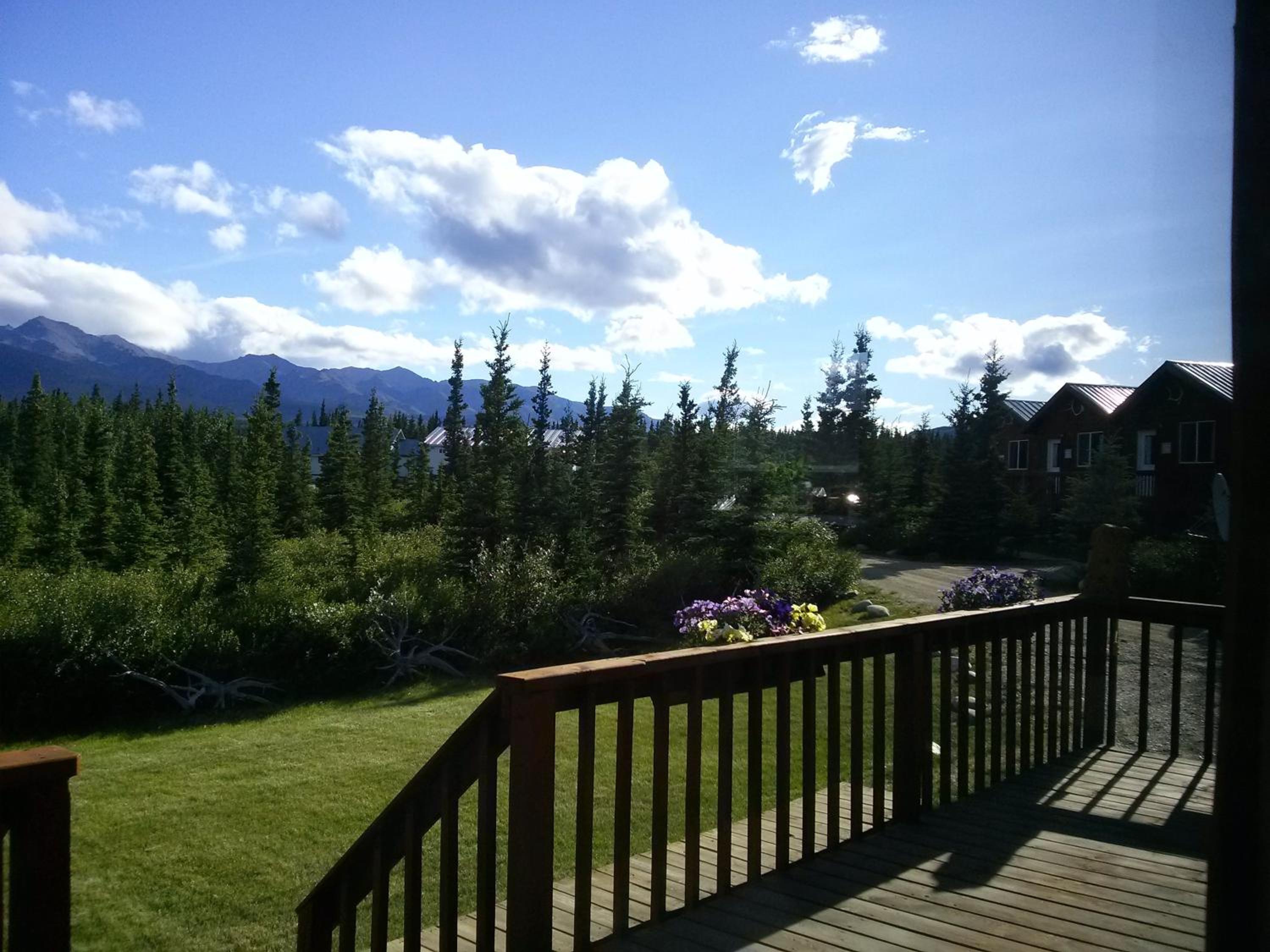 Denali's Alaskan Spruce Cabins view 5