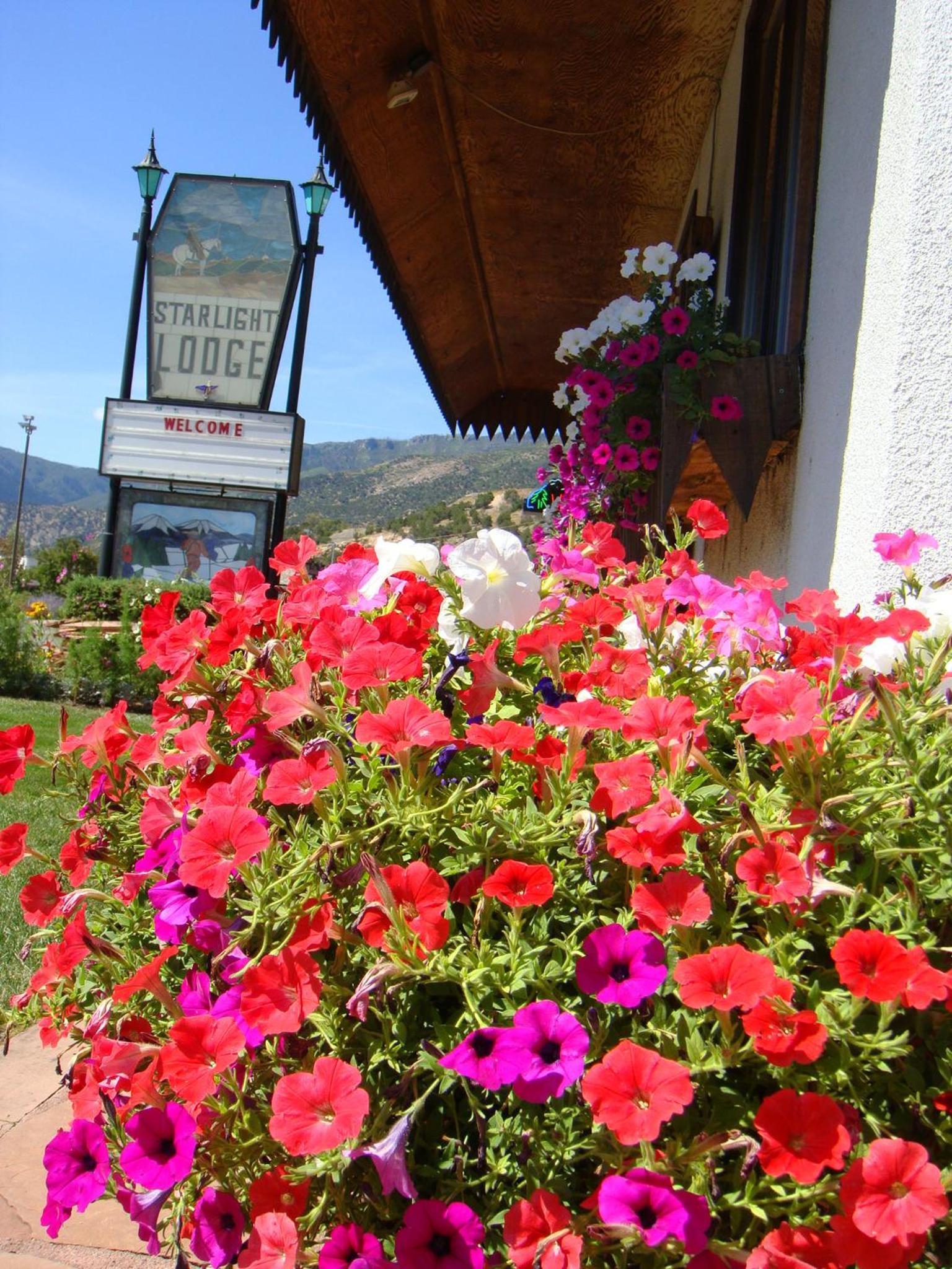 Glenwood Springs Vacations - Starlight Lodge - Property Image 4