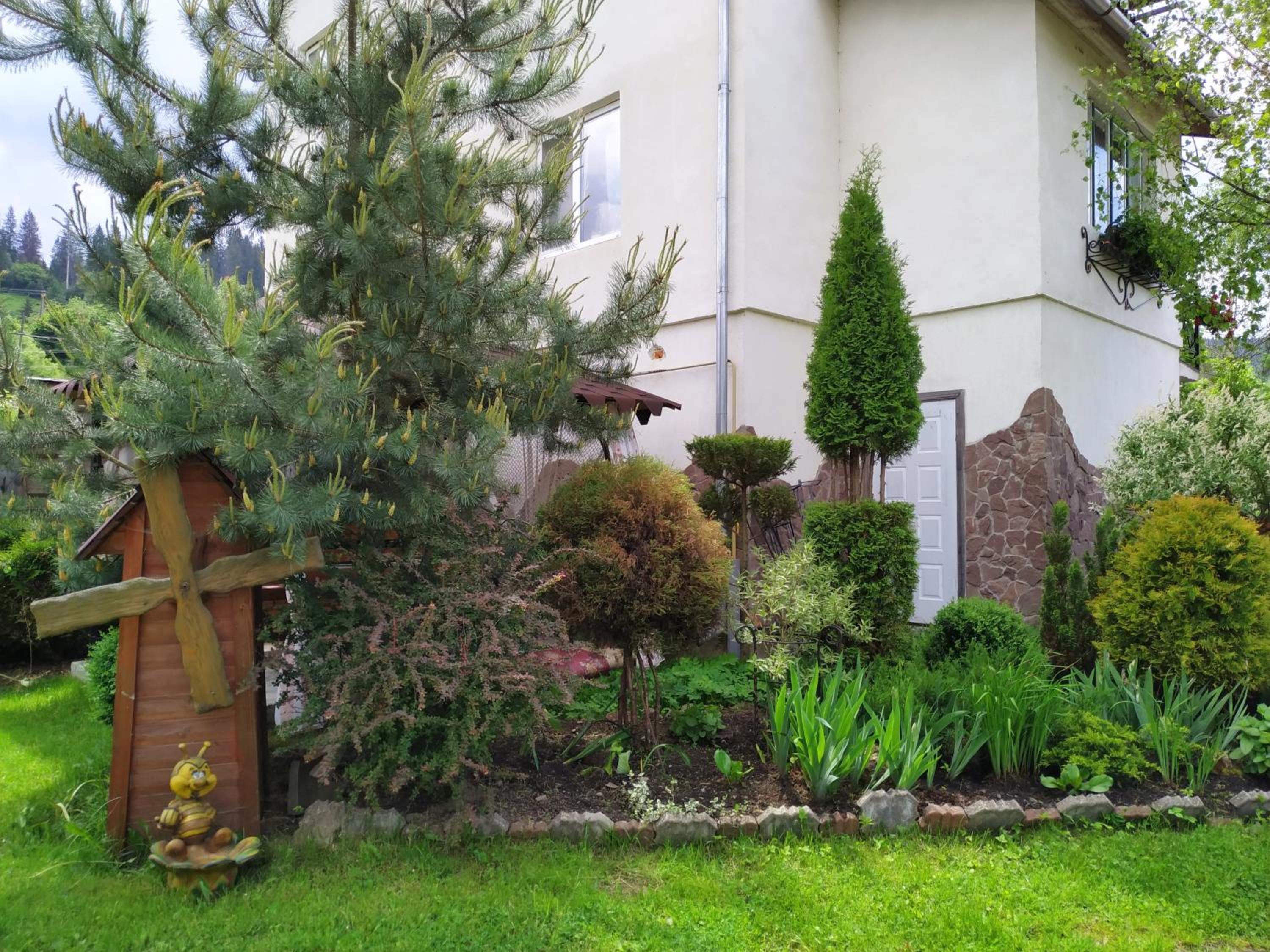 Photo 8