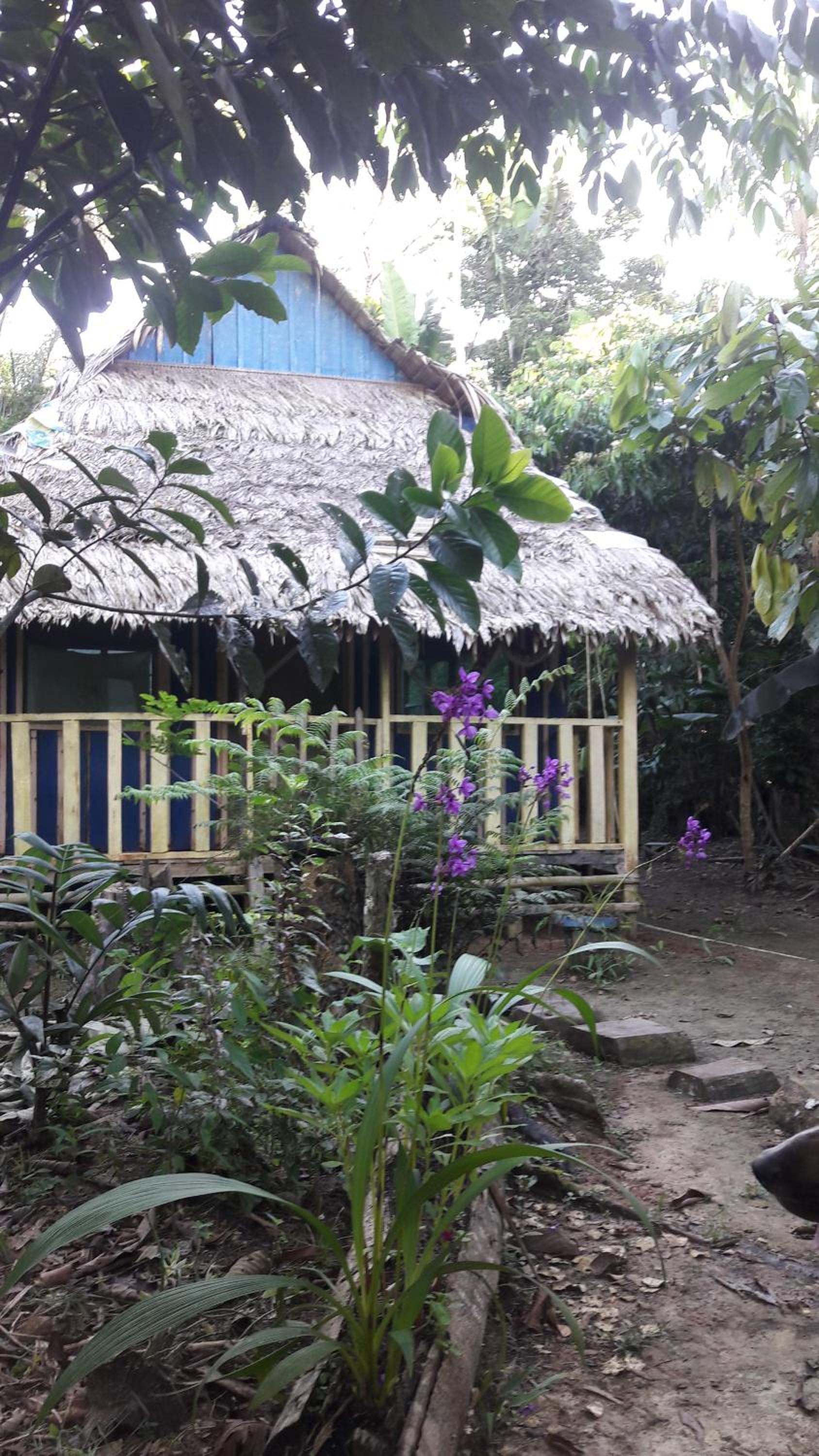 Omshanty Jungle Lodge view 3