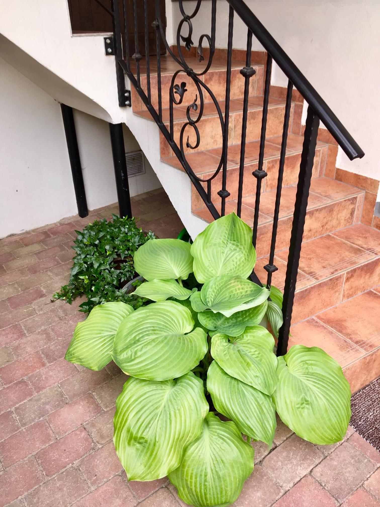 Apartmány U Vavřince, photo 4
