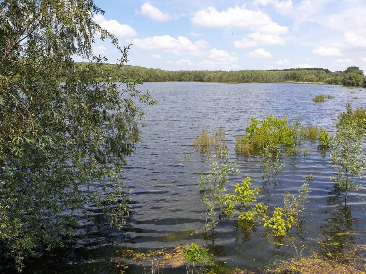 Photo 48