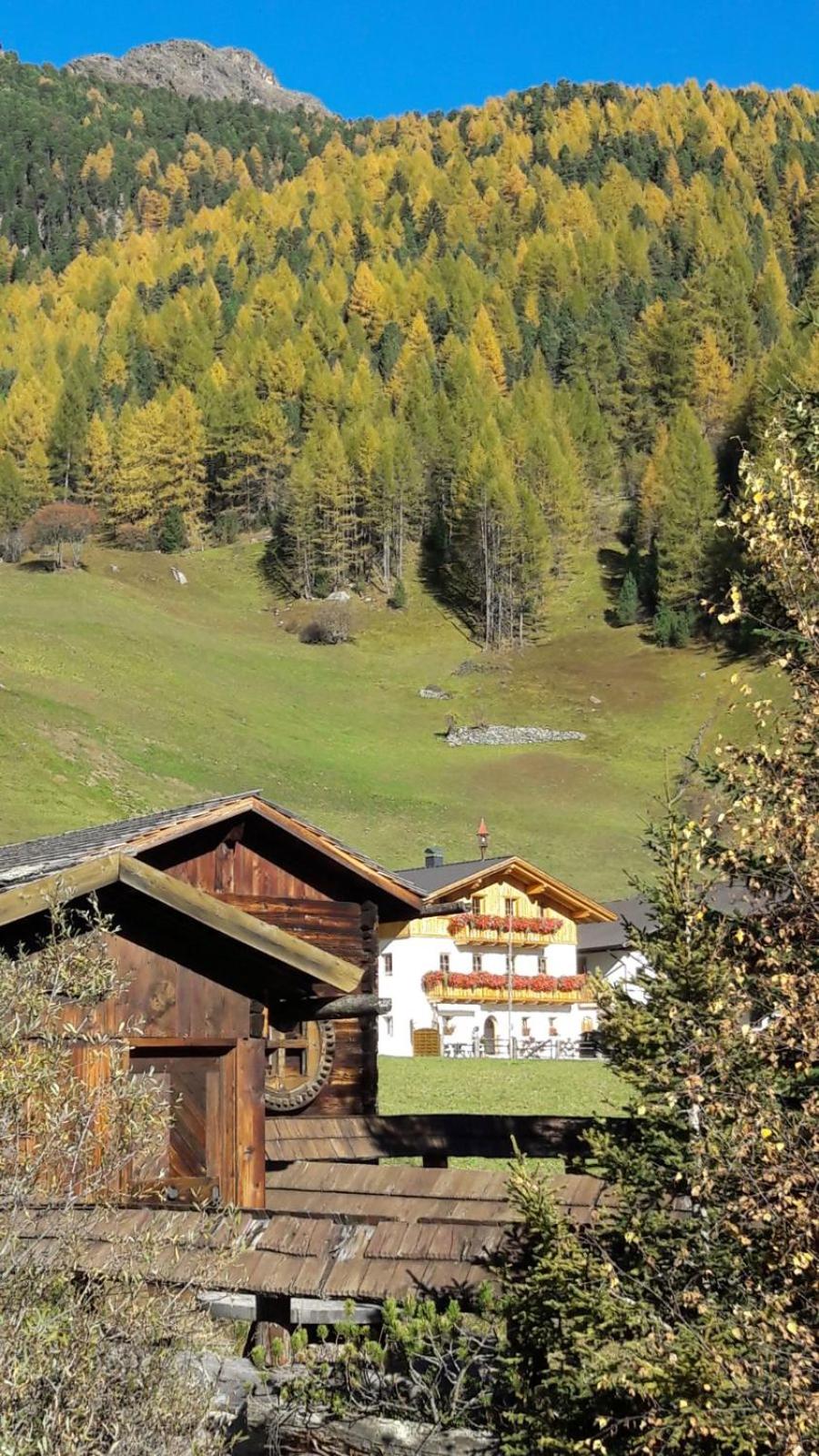 Mooserhof view 3