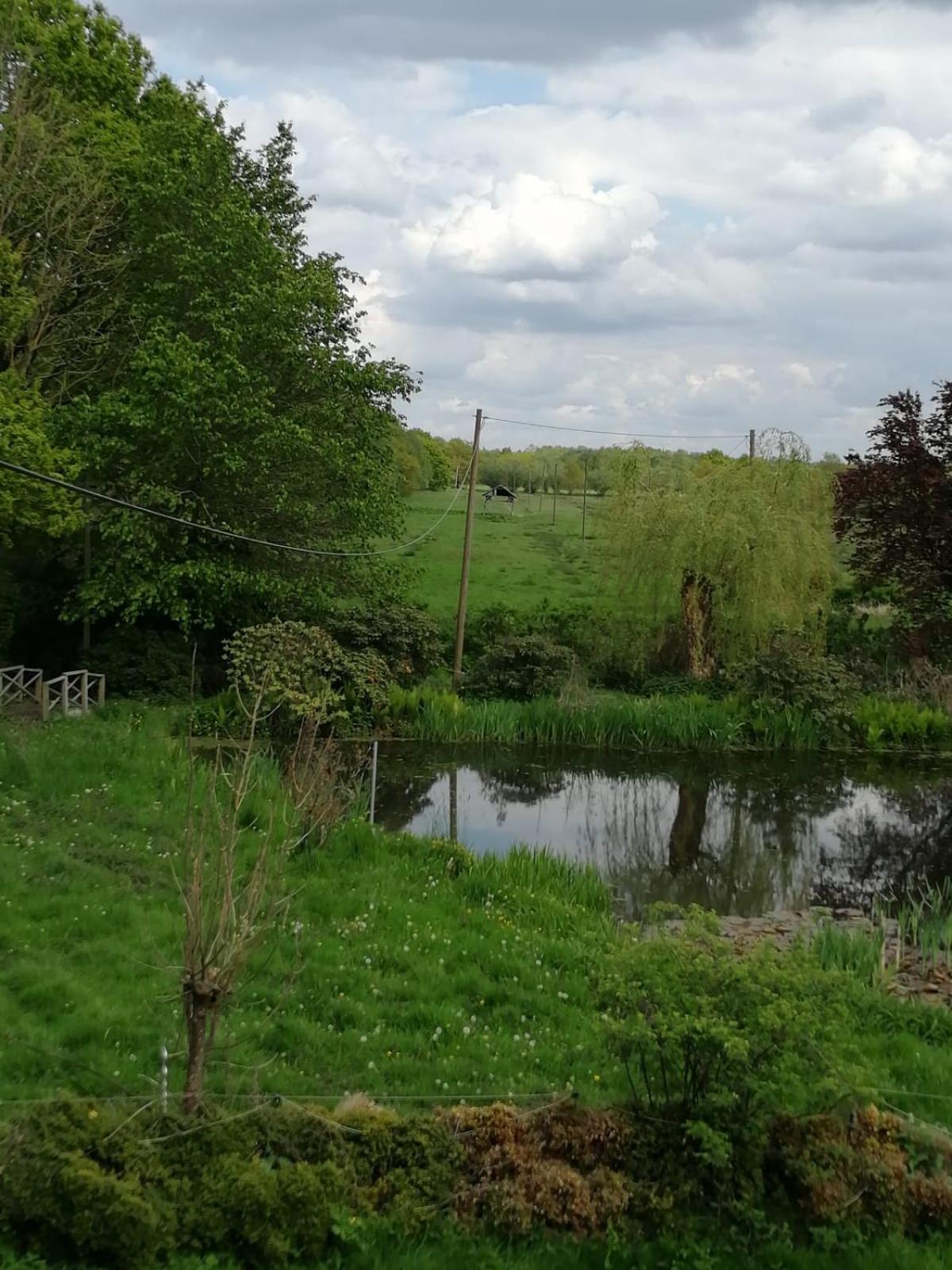Photo 15