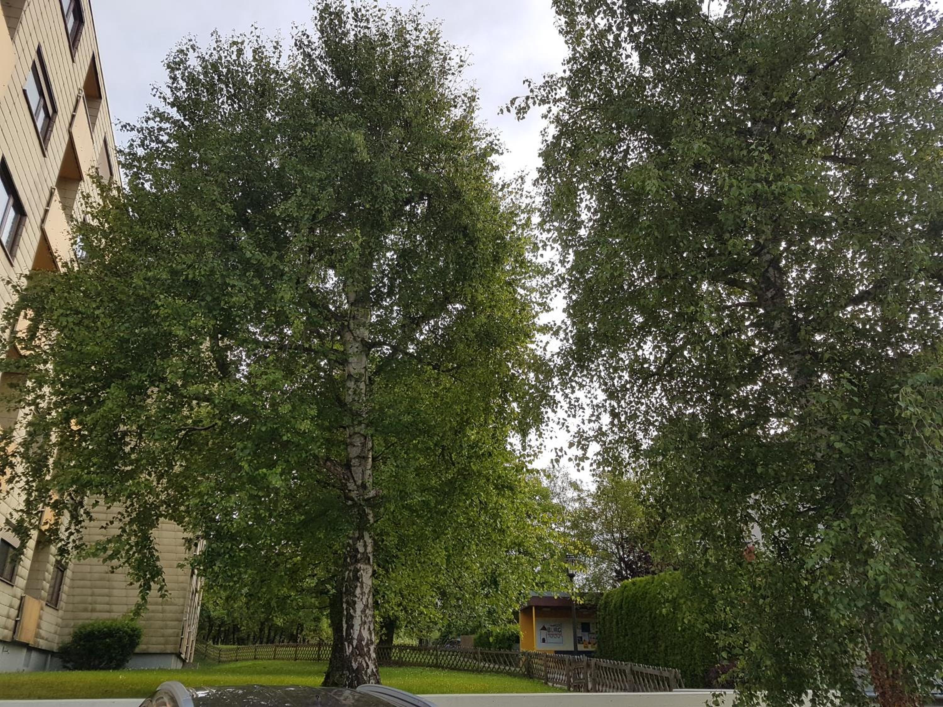 Weinstadt view 3