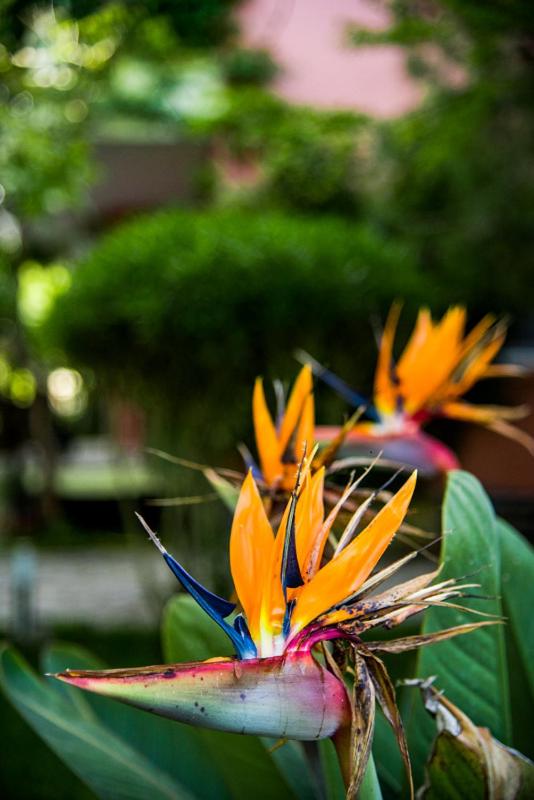 Photo 45