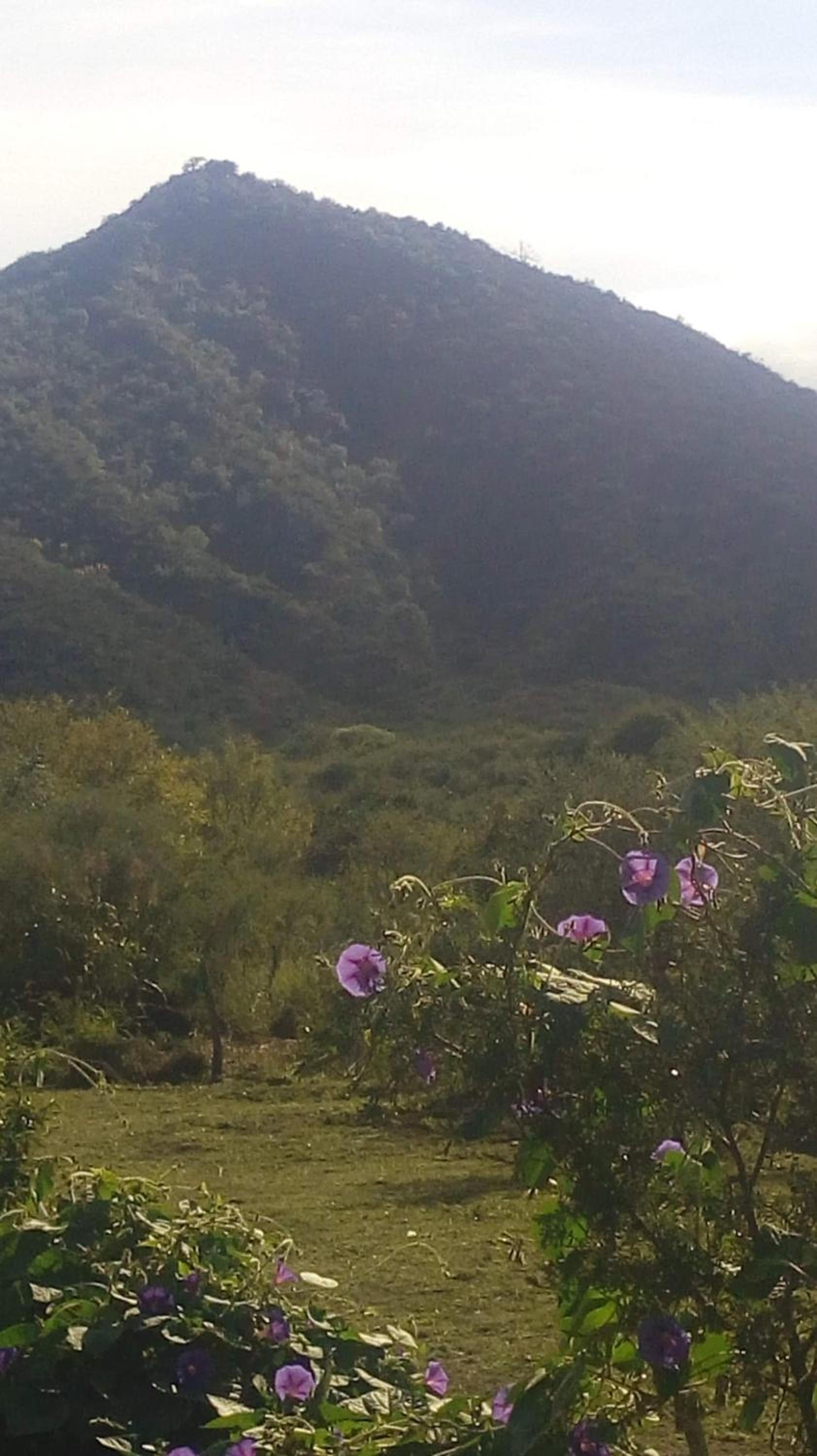 Apart Las Palmeras Corcovado