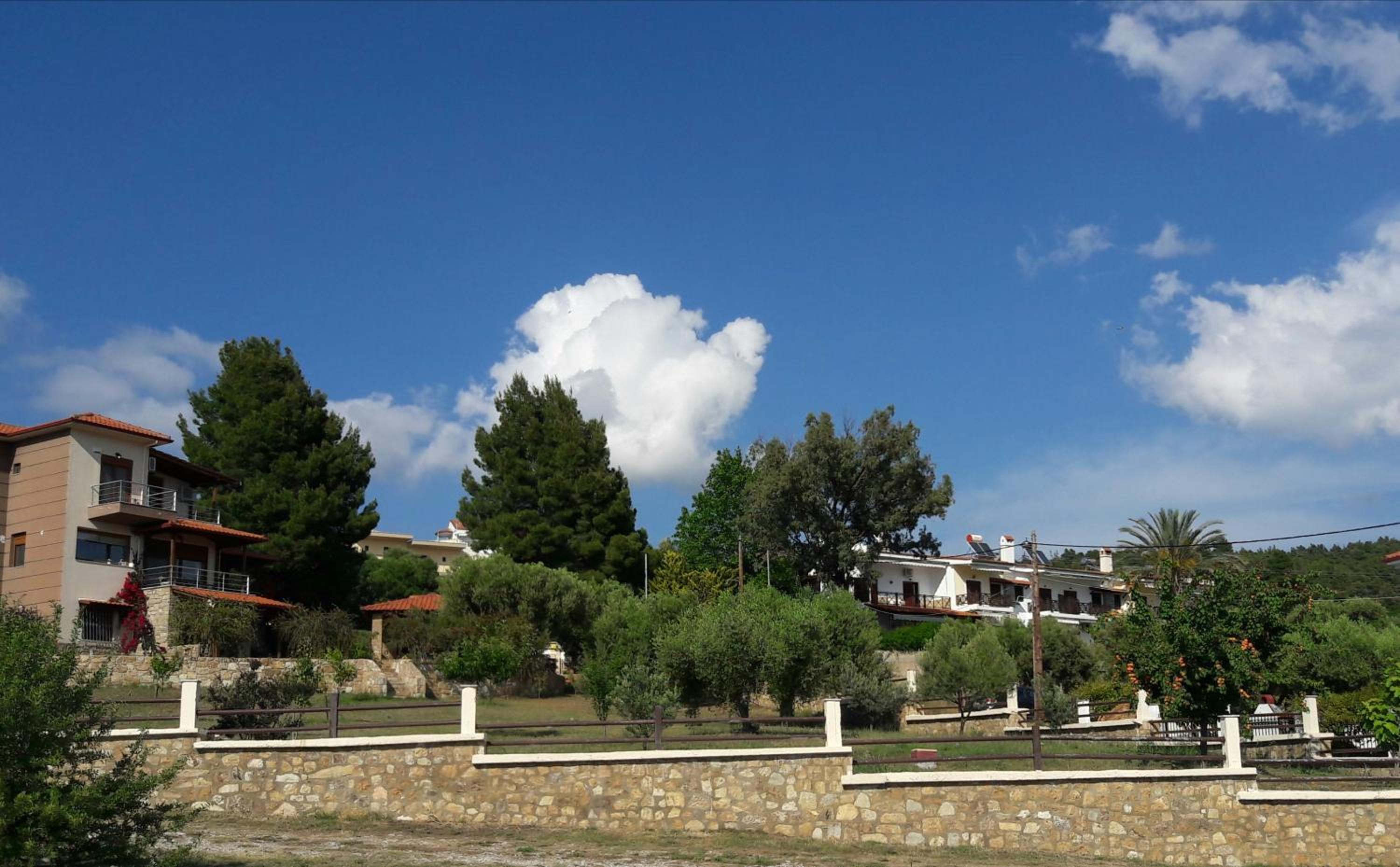 Photo 42