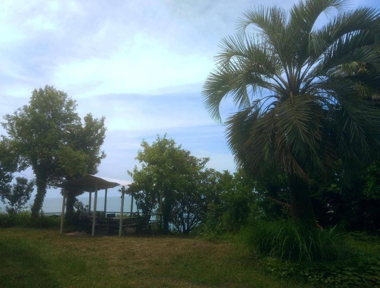 Photo 42