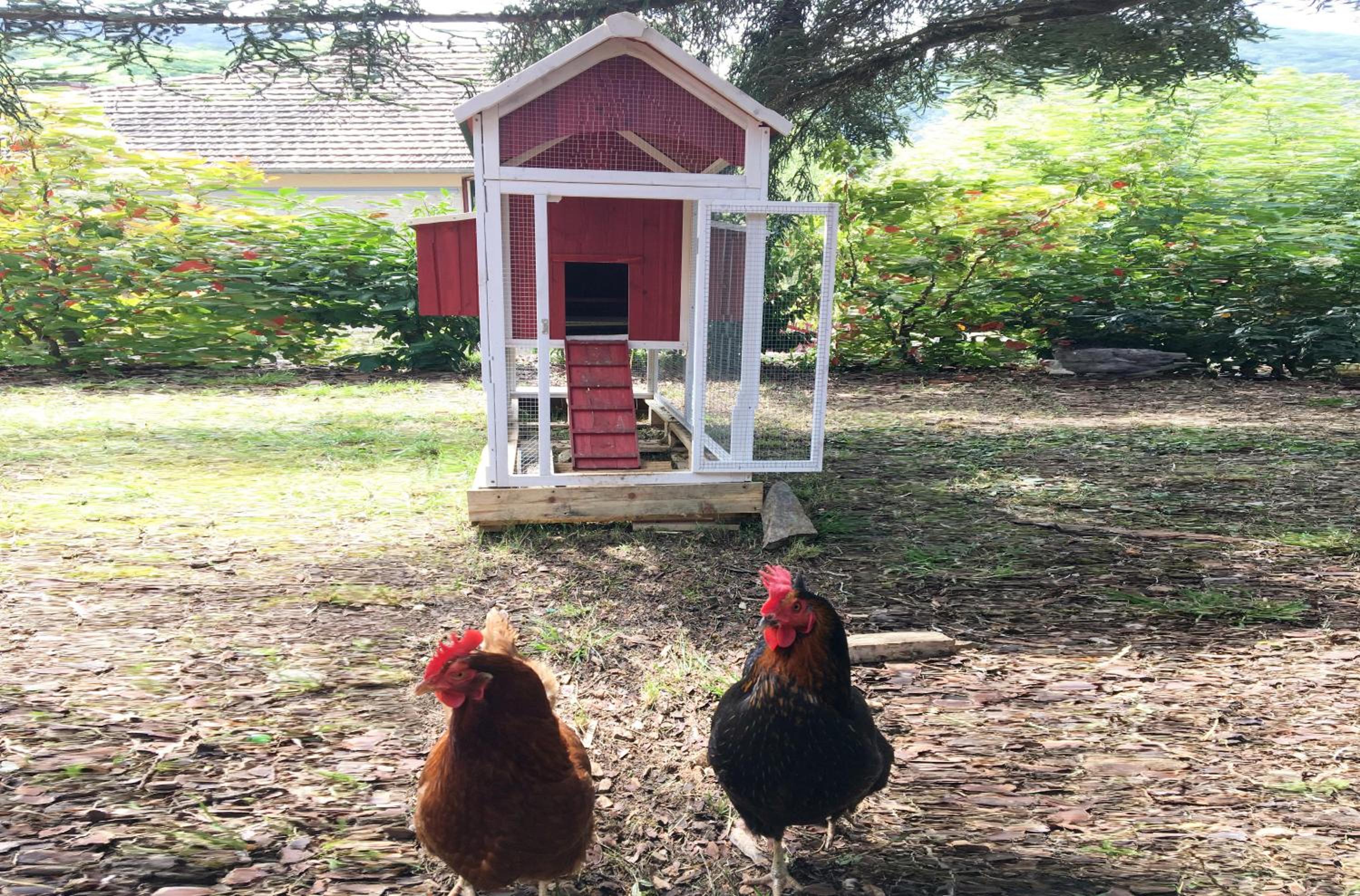 other