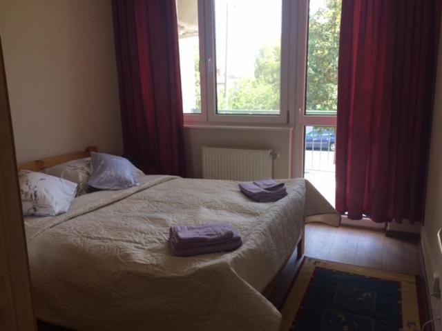 Rehab Apartment view 2