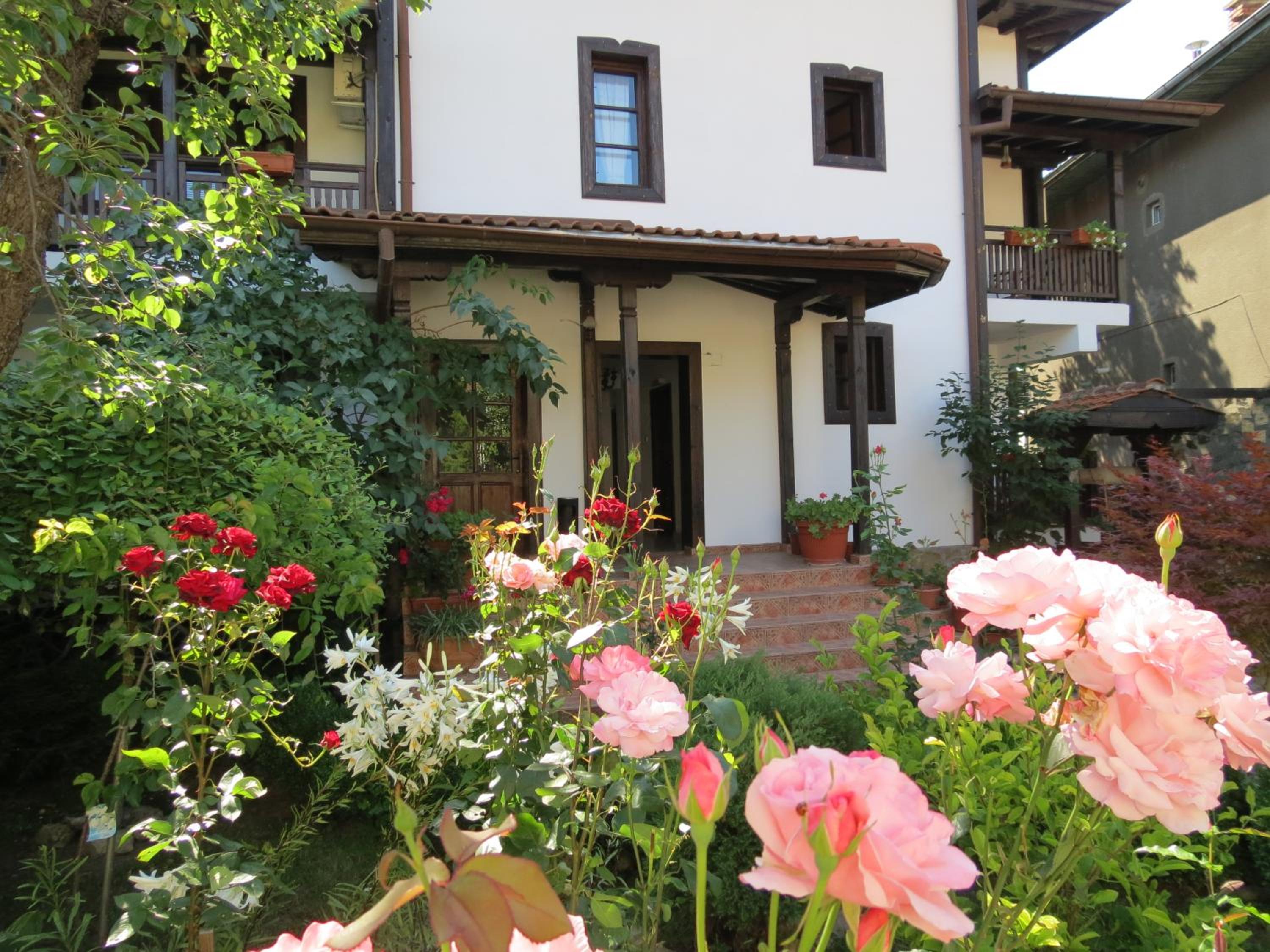 Oazis Guesthouse